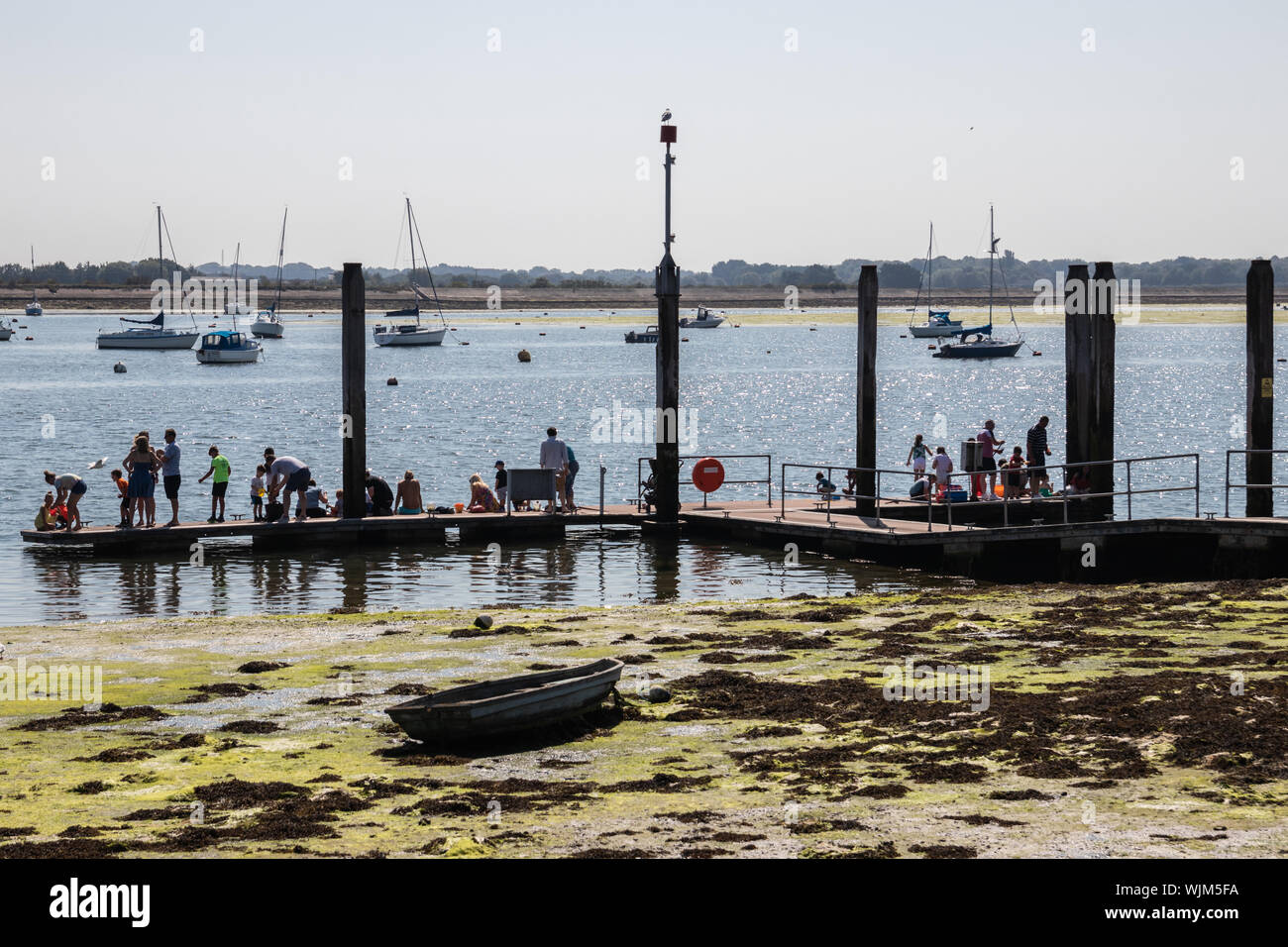 Emsworth, Hampshire, Regno Unito pesca i bambini con i loro genitori su un pontone a bassa marea Foto Stock