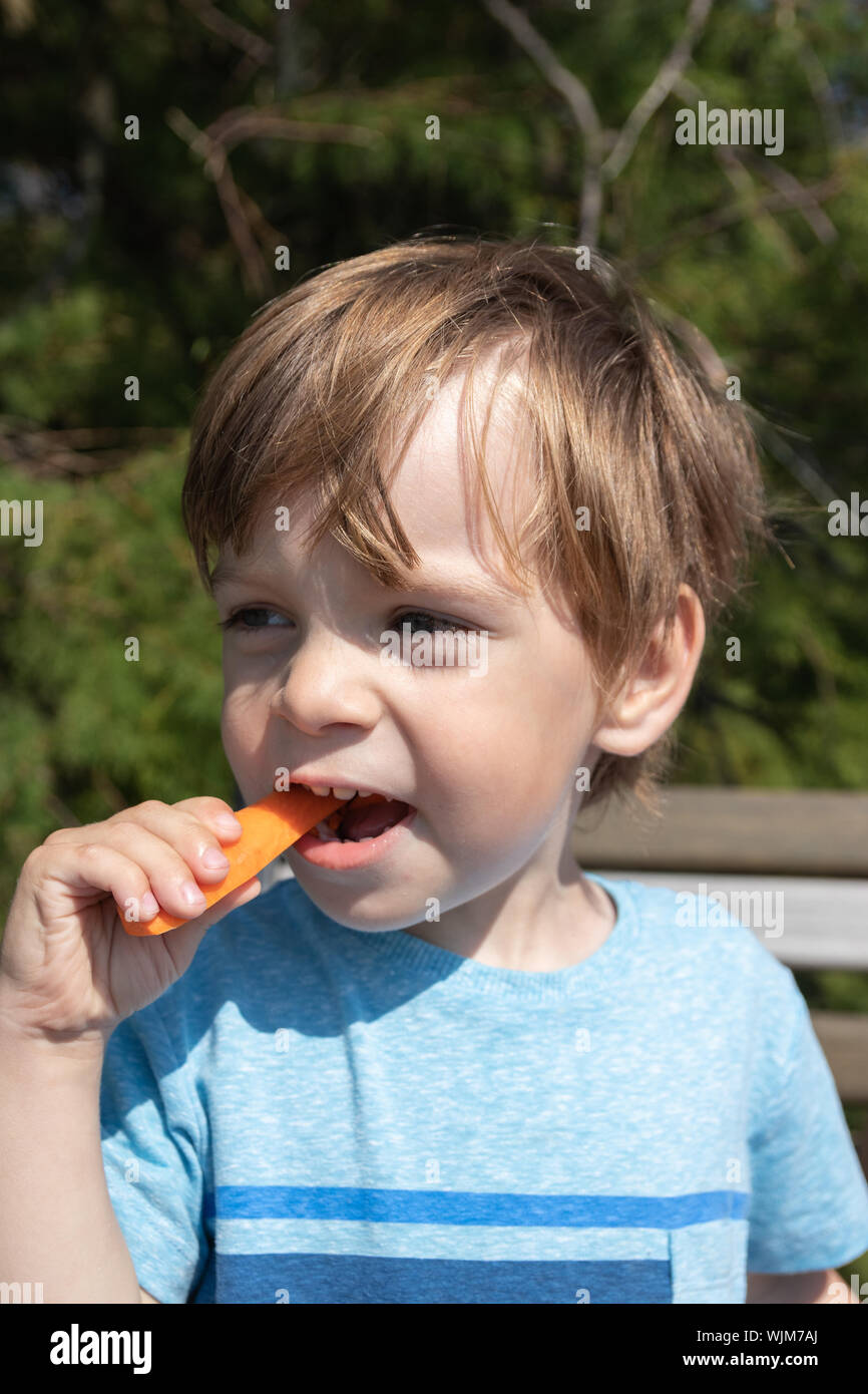 Un piccolo ragazzo di mangiare una carota come snack sani Foto Stock