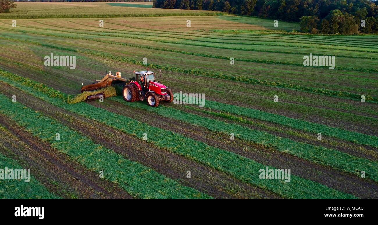 Vista aerea del rosso Massey Ferguson 1880 trattore sfalcio e taglio di erba medica campo di fieno al tramonto al di fuori di Monroe, Wisconsin, STATI UNITI D'AMERICA Foto Stock