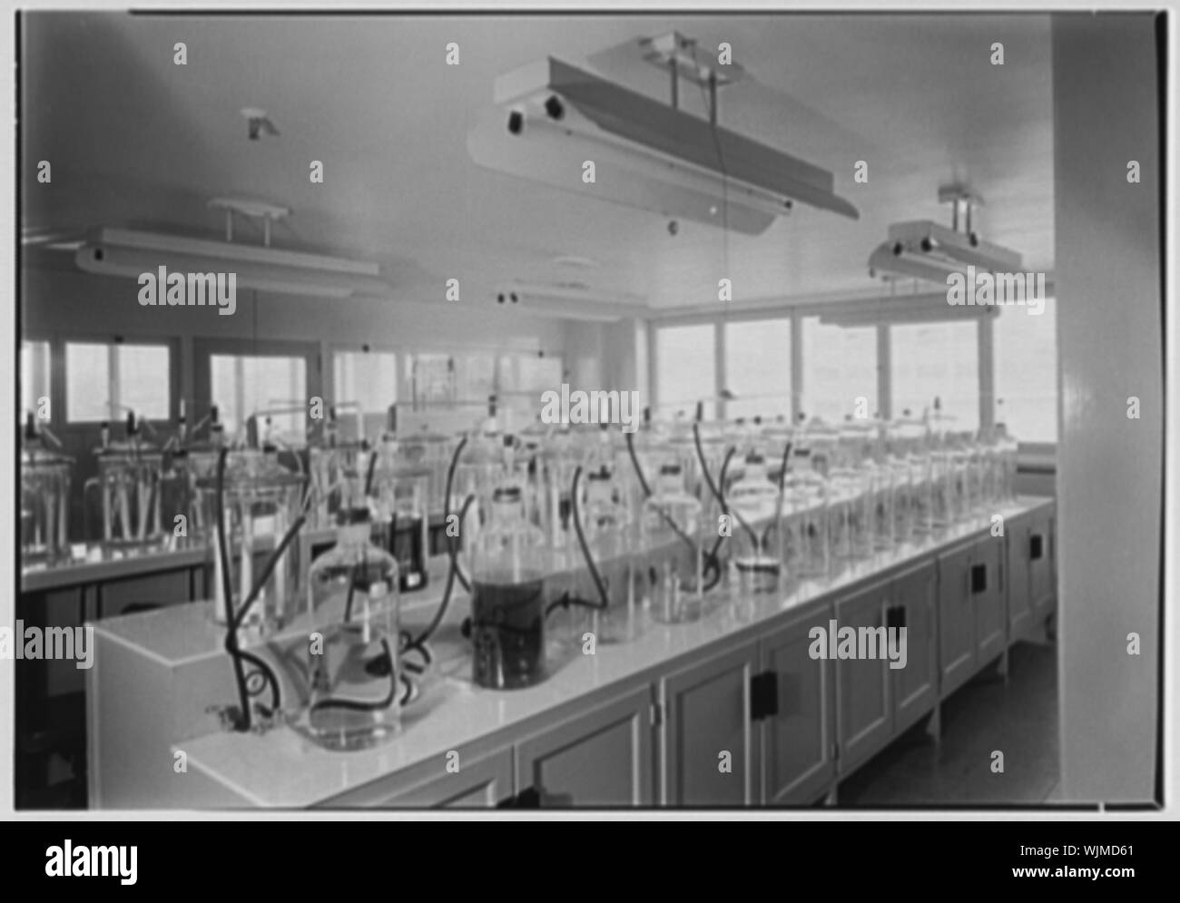 Hoffmann-LaRoche Inc., Nutley, New Jersey. Foto Stock