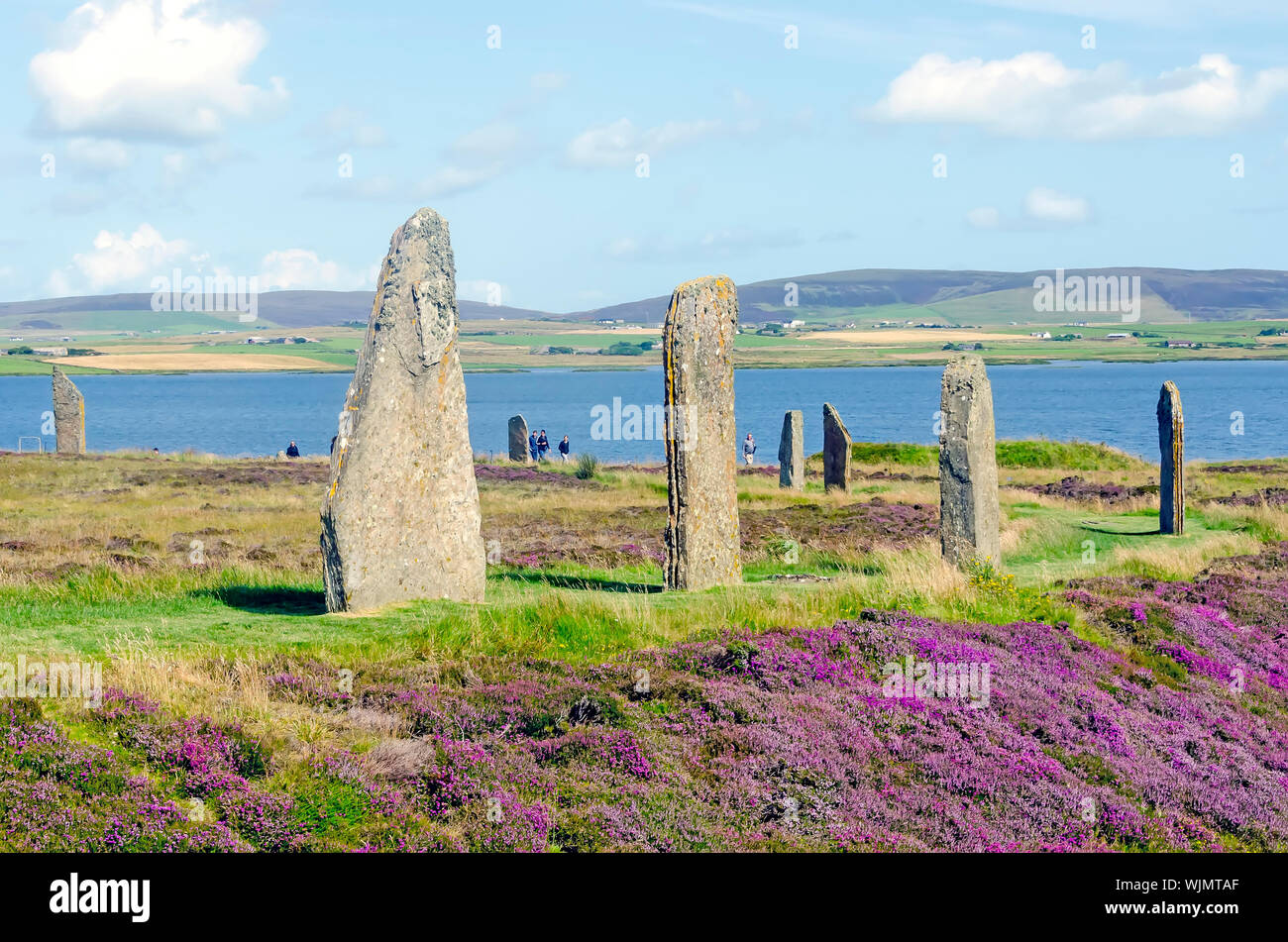 Anello di Brodgar eretta 2500BC-2000BC è il terzo più grande cerchio di pietra delle Isole Britanniche. Foto Stock