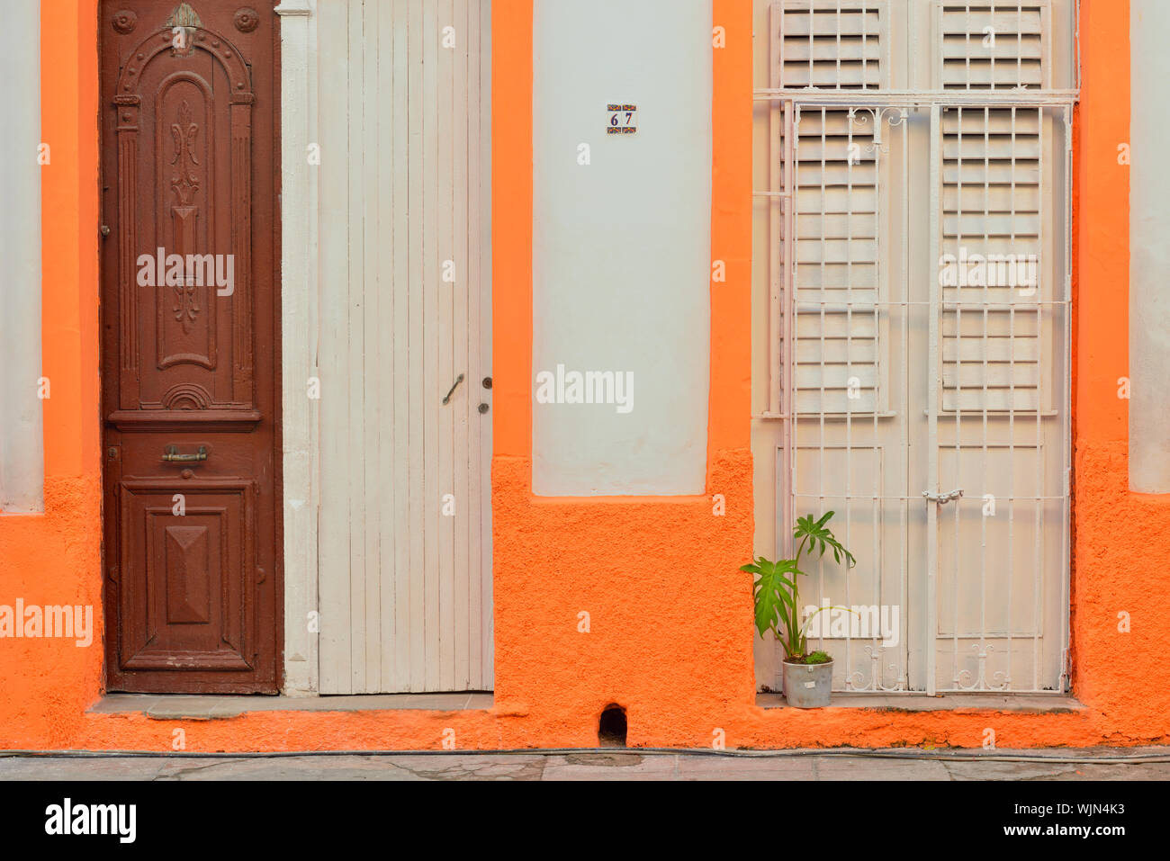 Street photography nel centro di Avana coloniale- dettagli architettonici- parete dipinta e houseplants, La Habana (Avana), La Habana, Cuba Foto Stock
