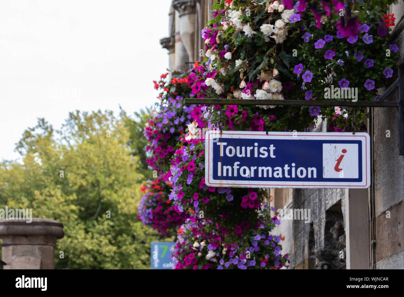 Una informazione turistica segno circondato da fiori in cestelli appesi Foto Stock