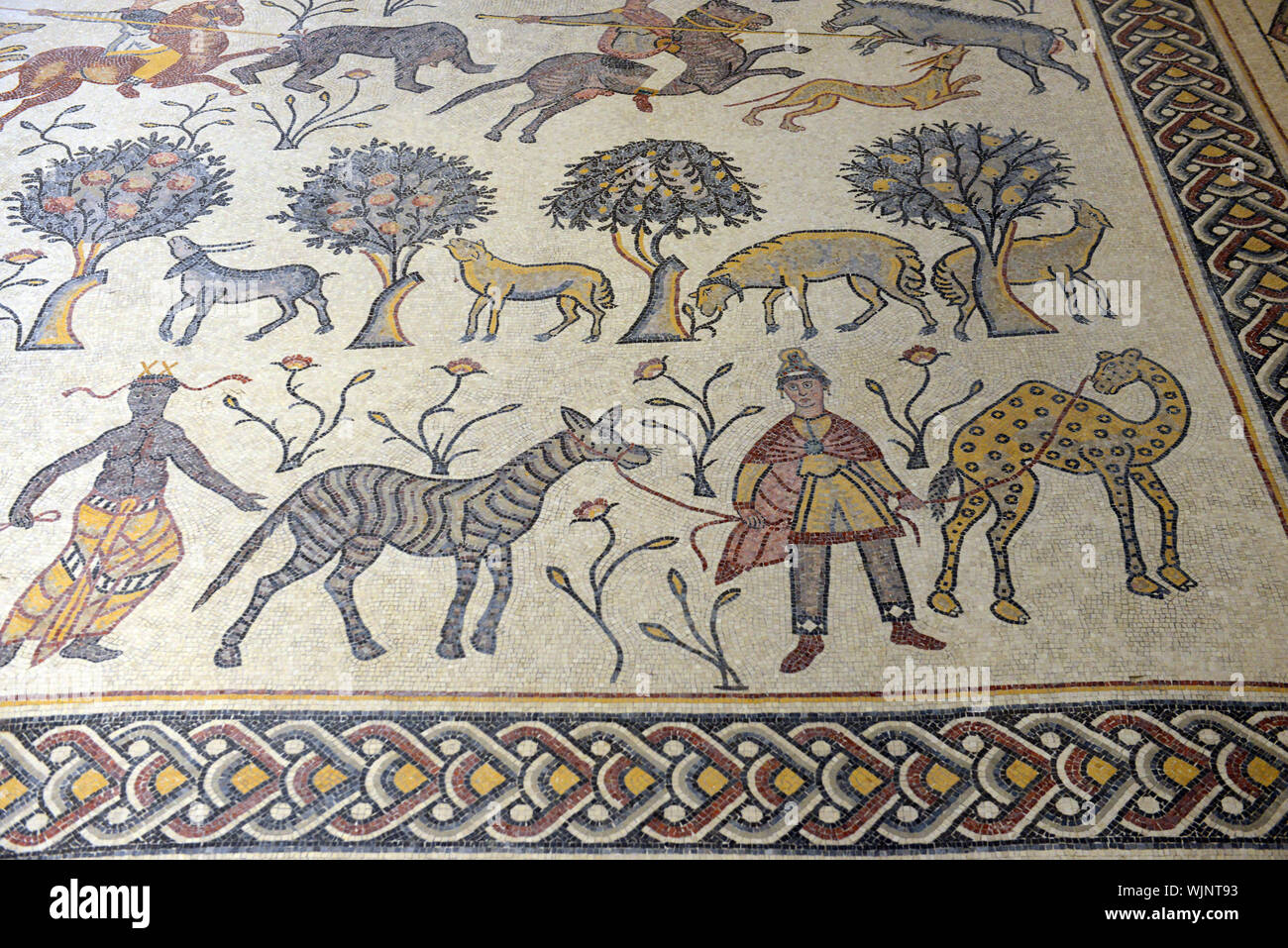 Pavimenti decorati di mosaici al sito archeologico di Monte Nebo, Giordania. Foto Stock