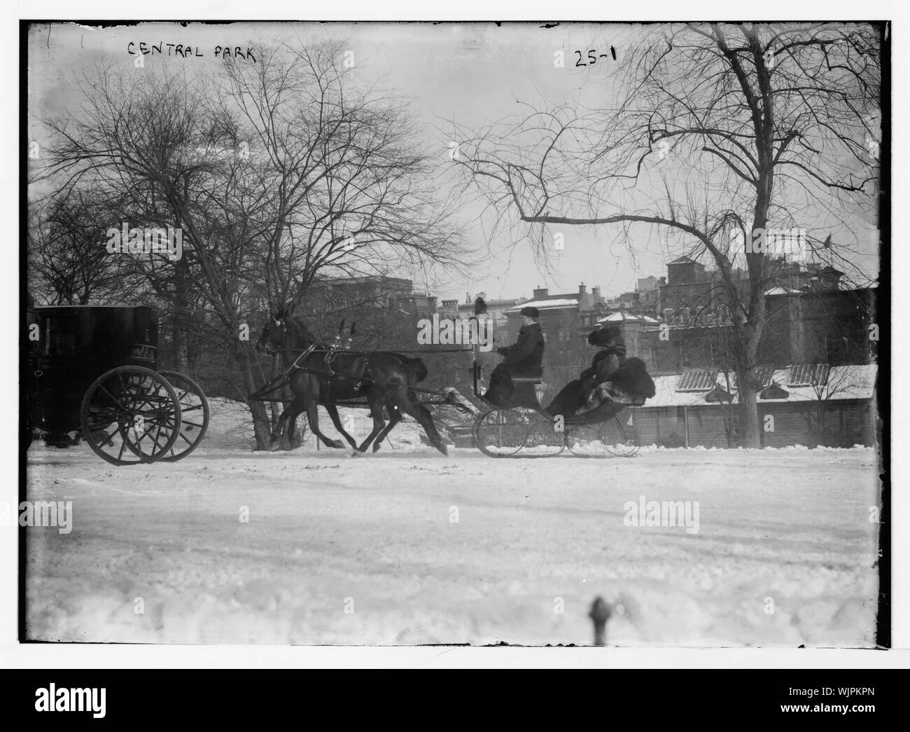 Carrozze trainate da cavalli nel Central Park di New York City Foto Stock
