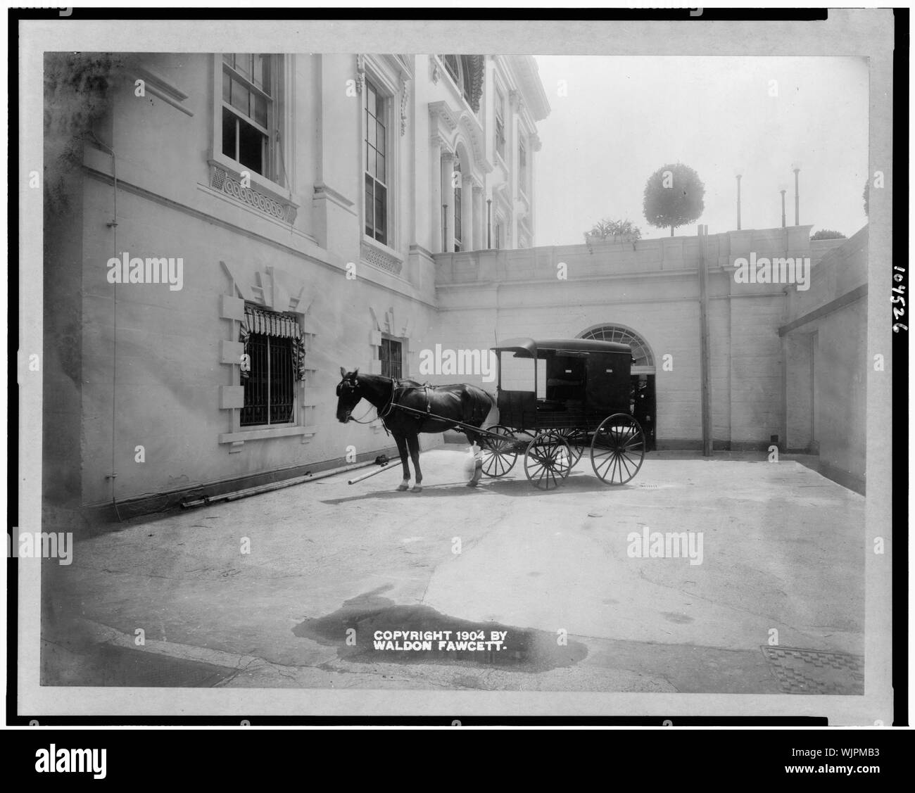 Cavallo e carro di consegna all ingresso della Casa Bianca cucina Foto Stock