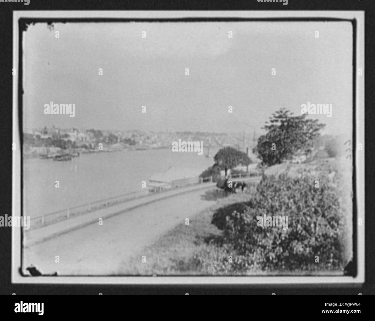 A cavallo il trasporto su strada si affaccia waterfront Foto Stock