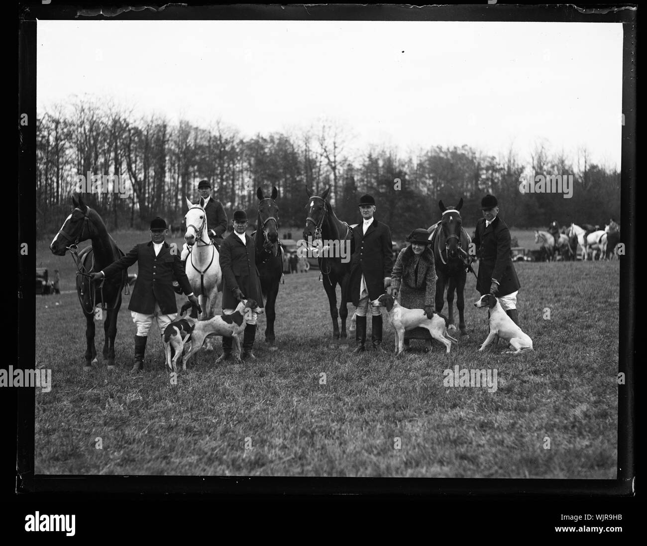 Cavalli; Fox Hunt Foto Stock