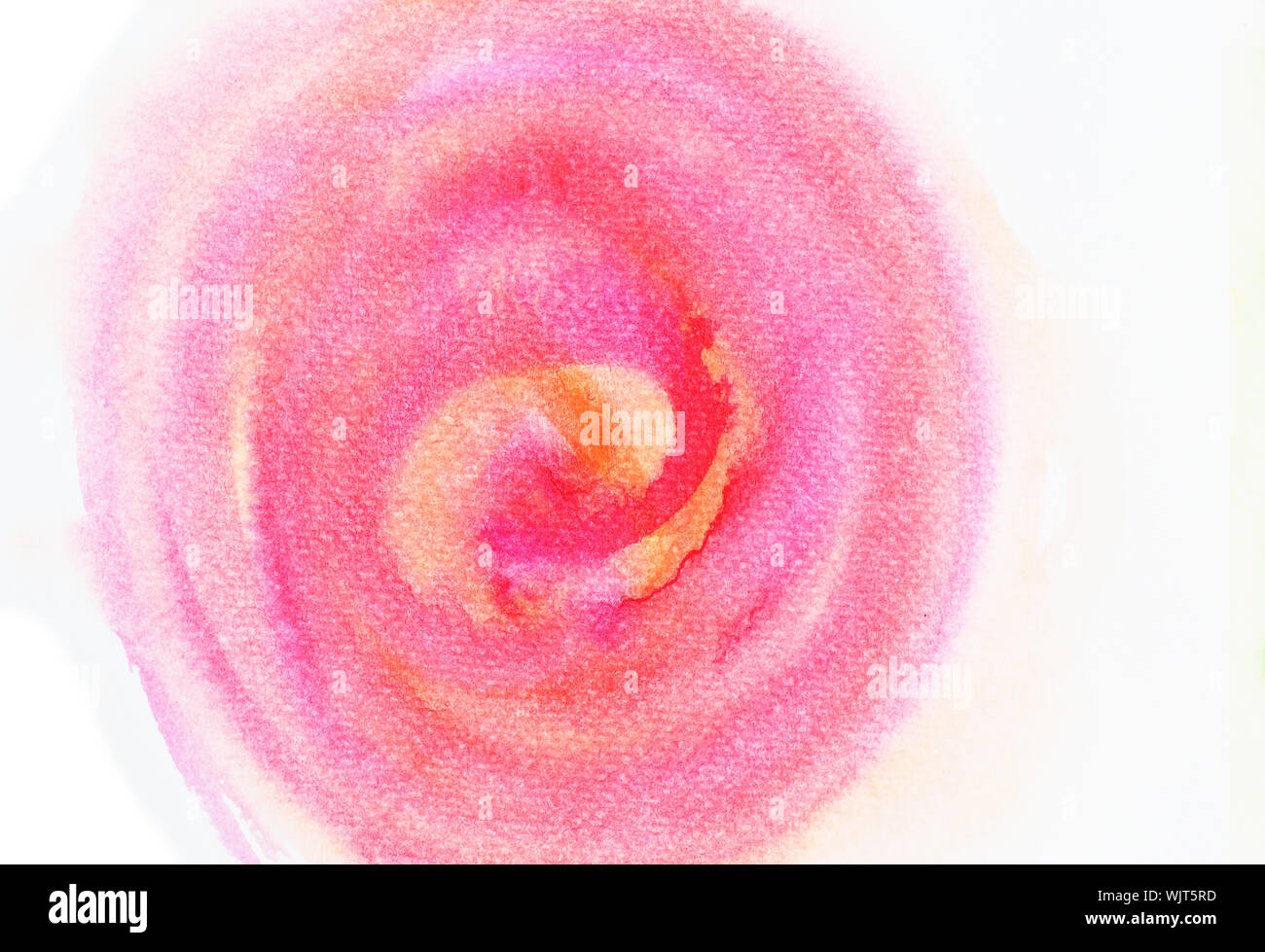L'embrione nel grembo , Marrone con i colori rosso e rosa macchie di colore flusso nella forma a spirale sulla superficie bianca , illustrazione astratta e sfondo luminoso Foto Stock