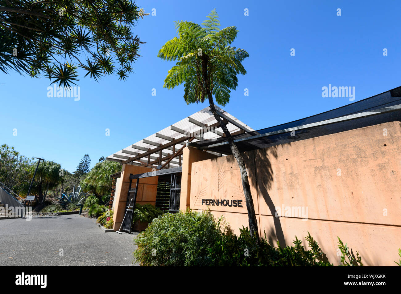 Vista degli esterni della casa di felce a Mt Coot-tha Botanic Gardens, Brisbane, Queensland, QLD, Australia Foto Stock