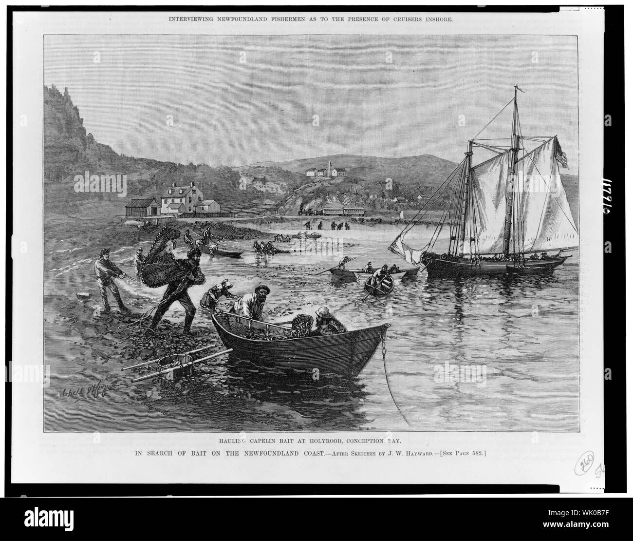 In cerca di esca sulla costa di Terranova--alaggio capelin esca a Holyrood, concezione Bay / dopo i bozzetti di J.W. Hayward. Foto Stock