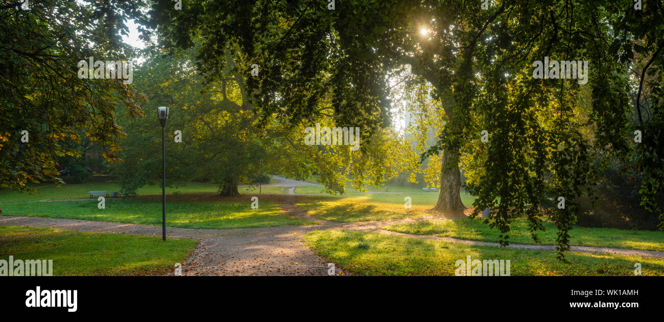 Splendida mattina nel parco - raggi del sole la rottura attraverso il baldacchino di alberi, nebbia illuminata dal sole al mattino Foto Stock