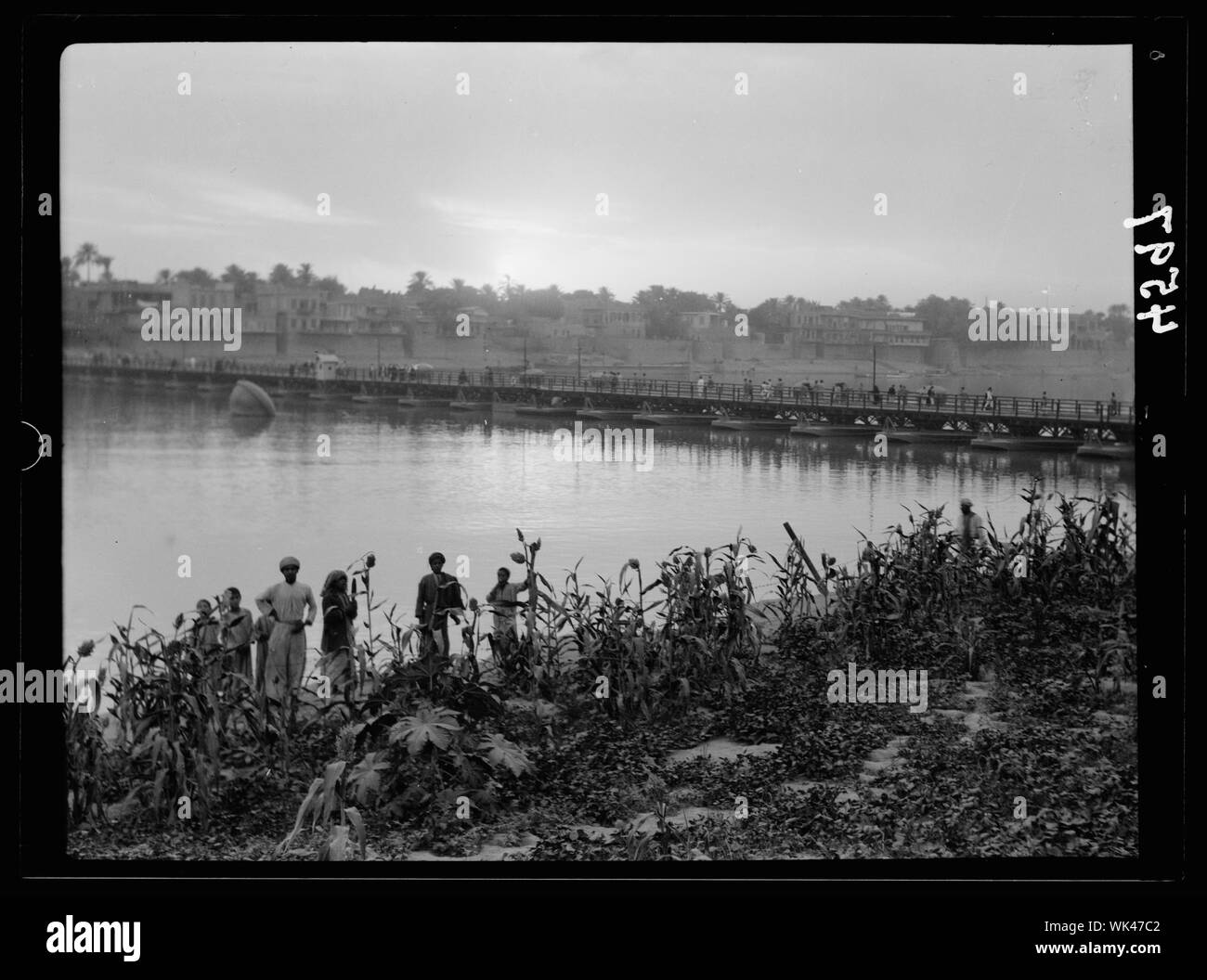 L'Iraq. (Mesopotamia). Baghdad. Scene di fiume sul Tigri. Il tigri. Scena al tramonto Foto Stock