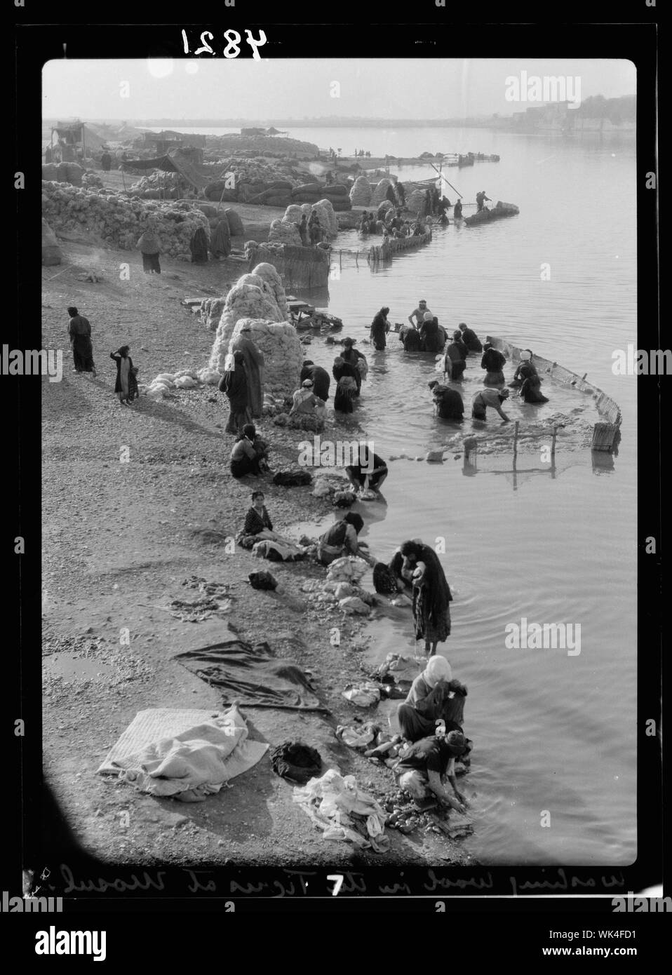 L'Iraq. Mosul. Mosul bazar e scene di fiume sul Tigri. La lana di industria di lavaggio. Gli uomini ginocchio profondo in uno stramazzo lungo le sponde del fiume Foto Stock