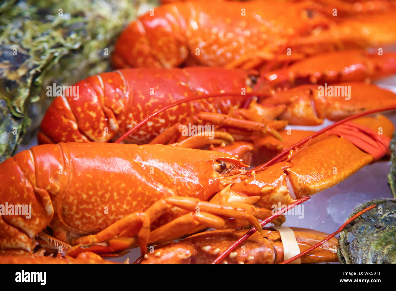 Le aragoste in vendita in norvegese mercato del pesce Foto Stock