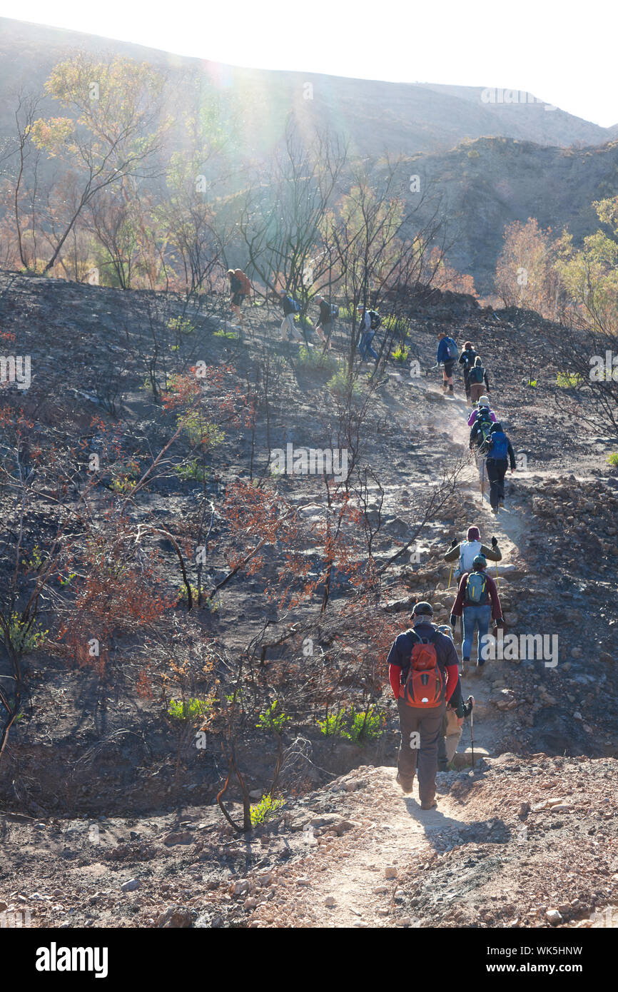 Gruppo di escursionisti a Serpentine Gorge, il Larapinta Trail, West McDonnell Ranges, Territorio del Nord, l'Australia Foto Stock