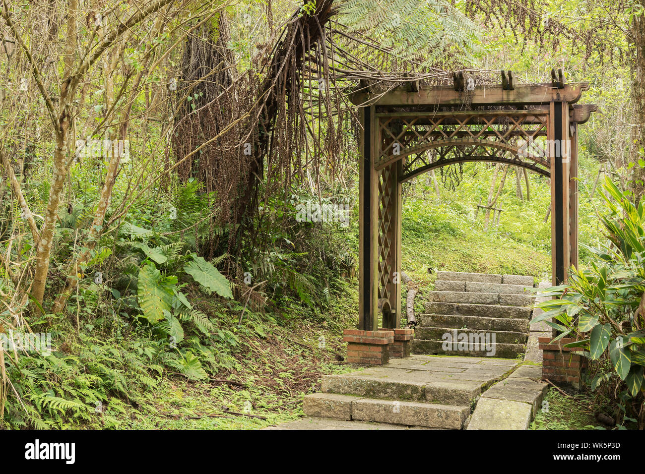 Cancello in legno porta nella foresta a Sole Luna Lago Lago Trail, Taiwan, in Asia. Foto Stock