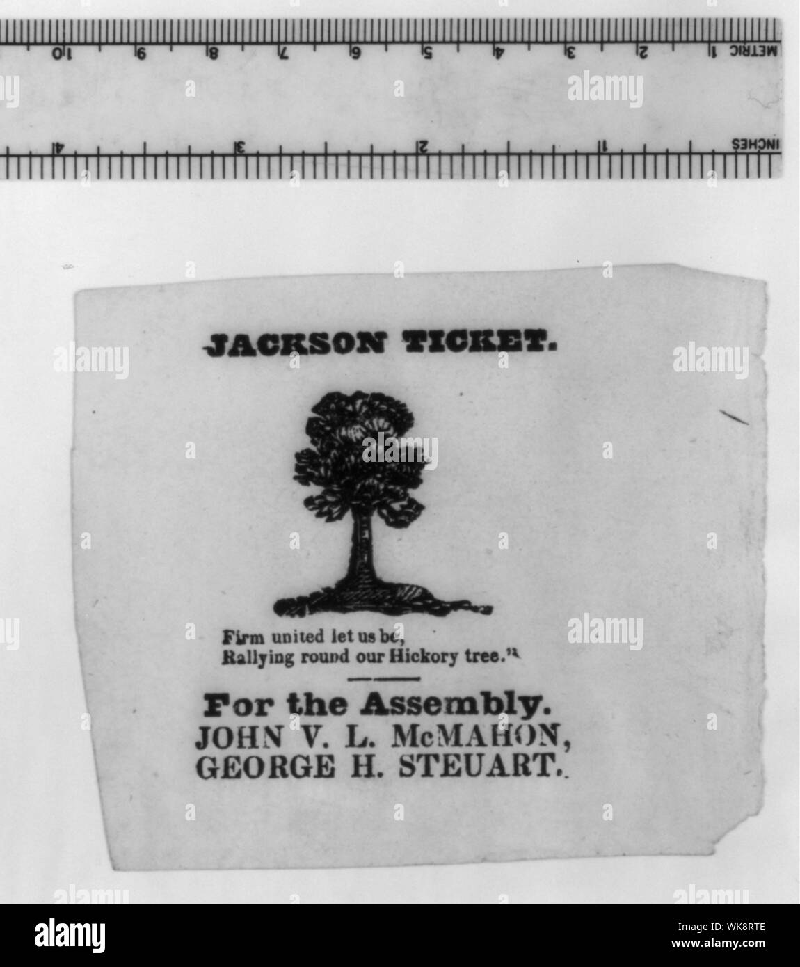 Jackson ticket. Impresa regno lasciamoci, rally round la nostra struttura in legno Hickory Foto Stock