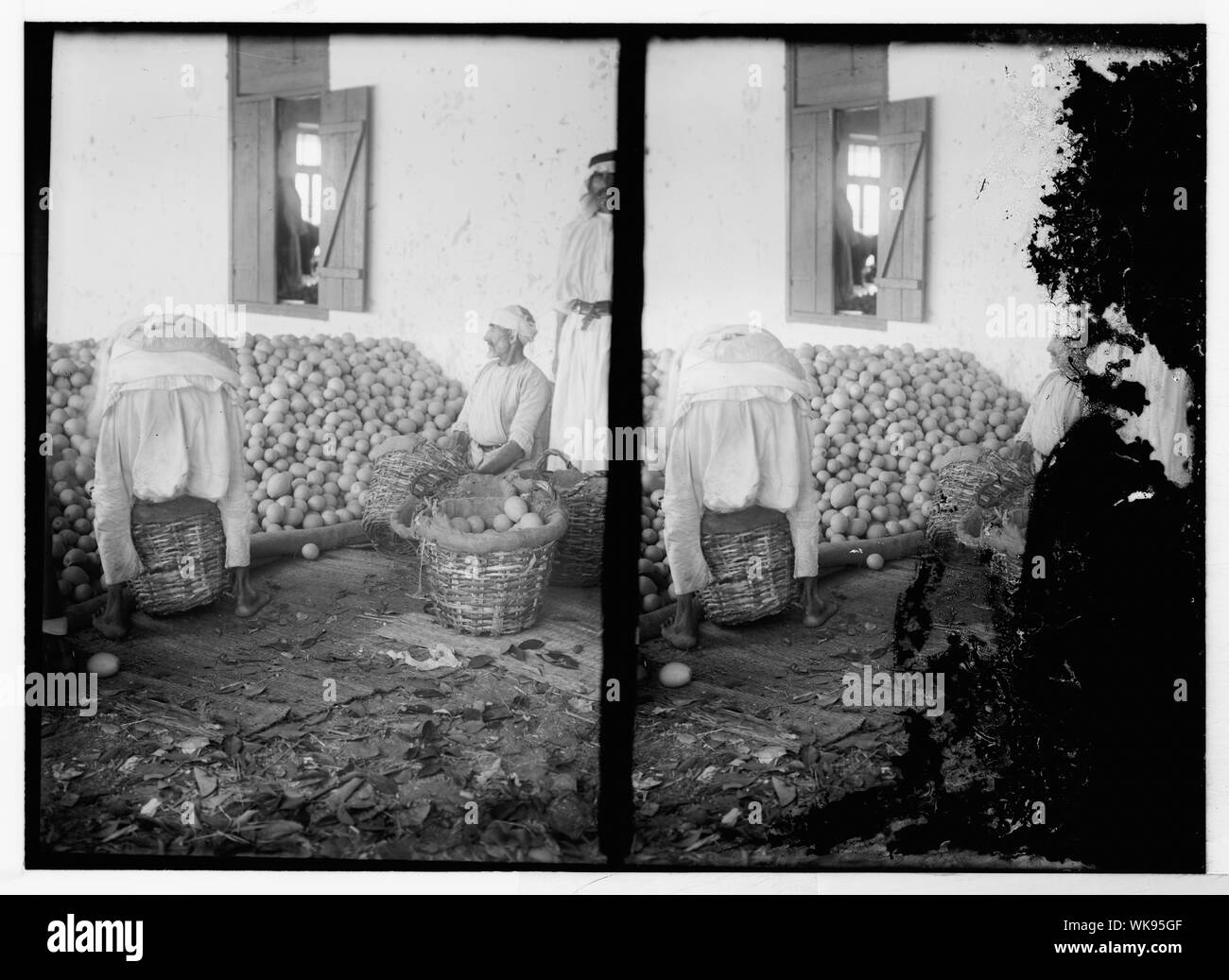 Jaffa. Imballaggio & esportazione di arance Foto Stock