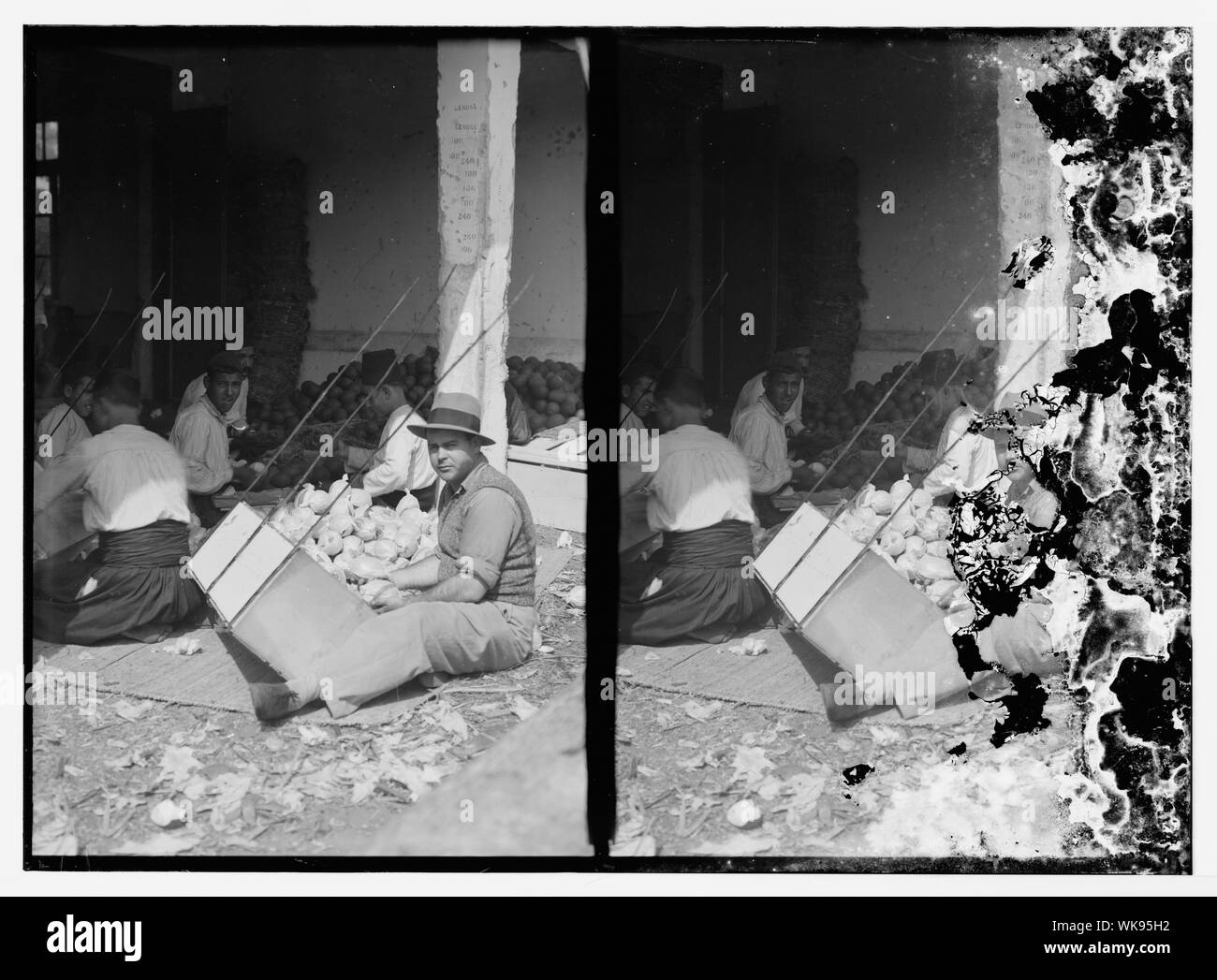 Jaffa. Imballaggio & esportazione di arance Foto Stock