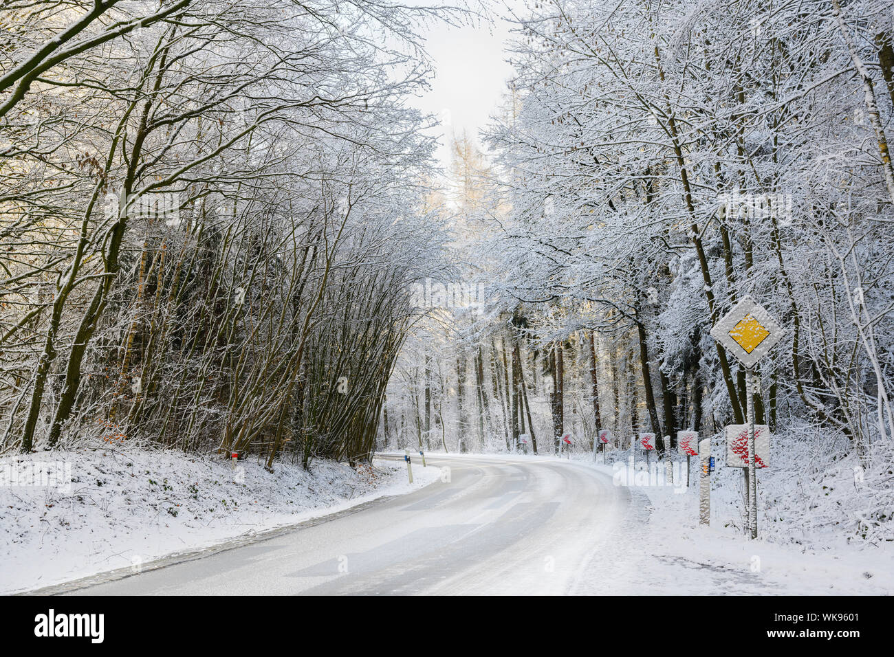 Curva pericolosa su un gelido paese strada attraverso il nevoso inverno forest, sicurezza concetto guida, spazio di copia Foto Stock