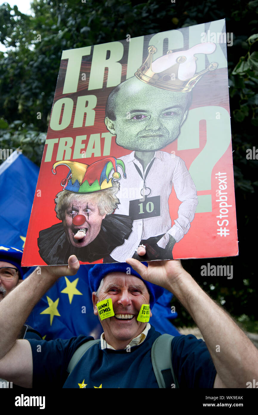 Protesta in piazza del Parlamento. Un sostenitore dell'UE con poster dicendo dolcetto o scherzetto che fanno riferimento a ottobre 31 Halloween e la data Johnson vuole per Brita Foto Stock