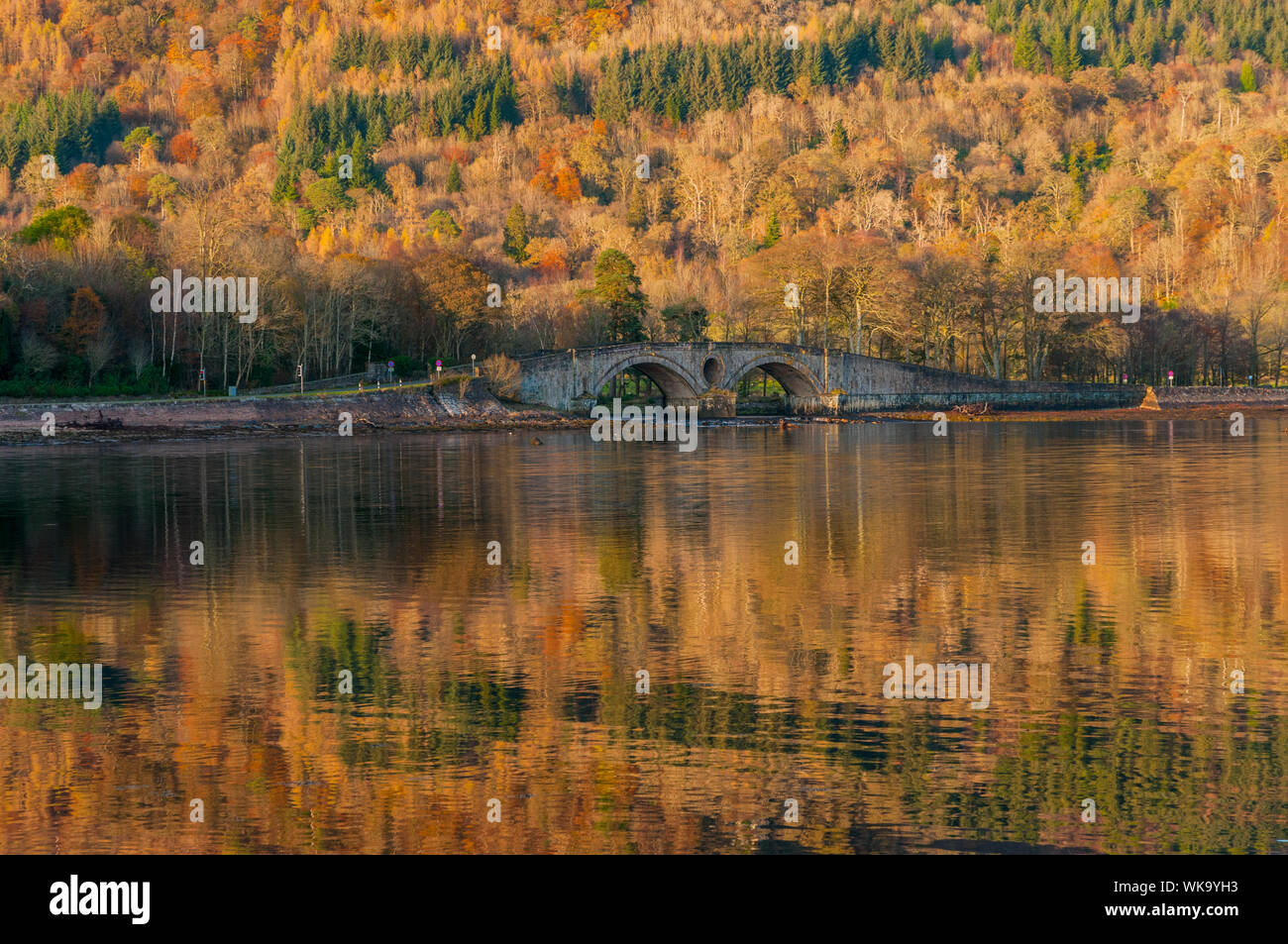 Autunno riflessioni Loch Fyne Inveraray Argyll & Bute Scozia Scotland Foto Stock