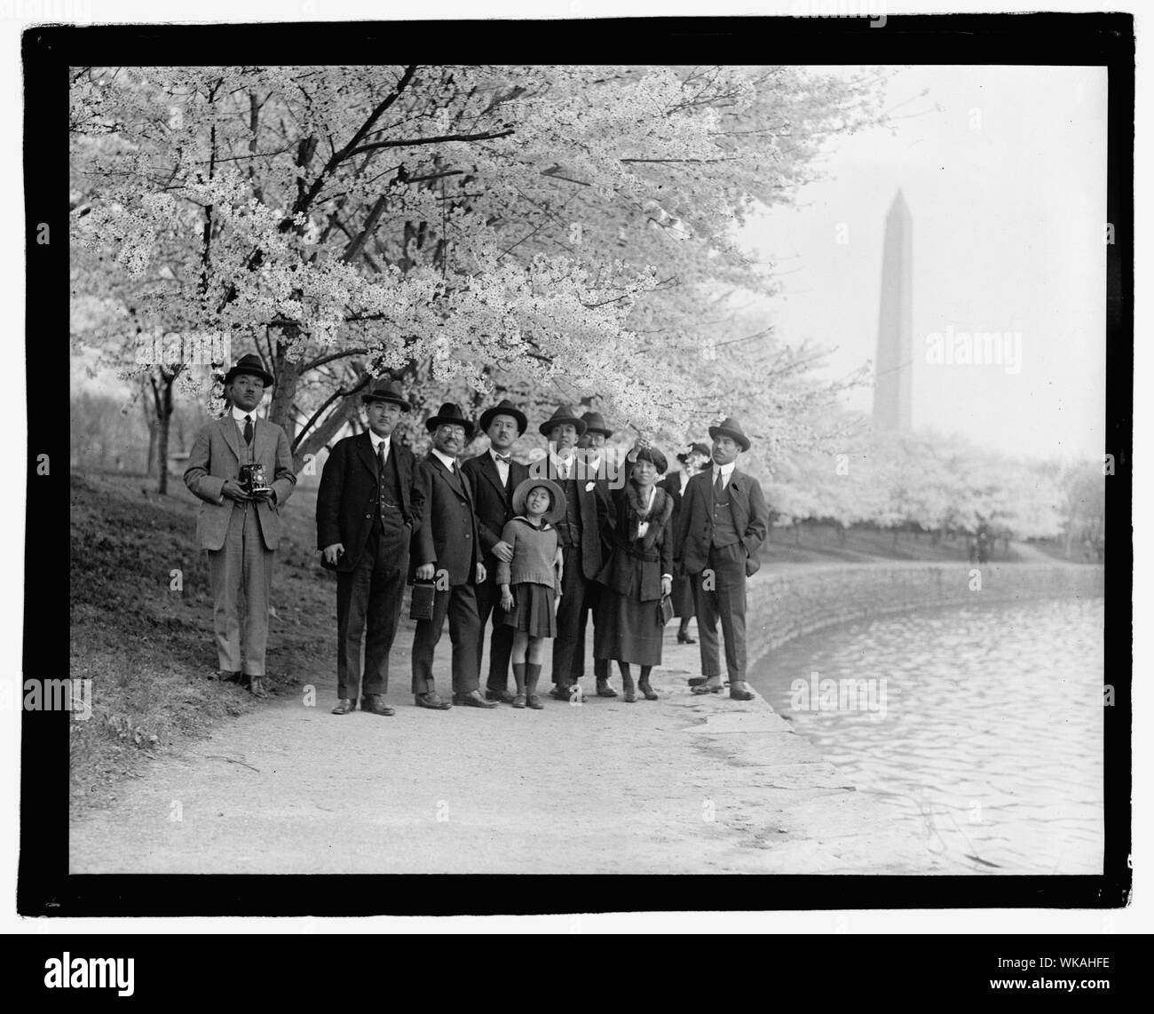 Jap. Gli alberi di ciliegio Foto Stock