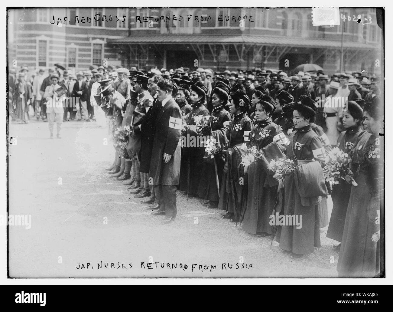 Giapponese Croce Rossa restituito dall'Europa Foto Stock