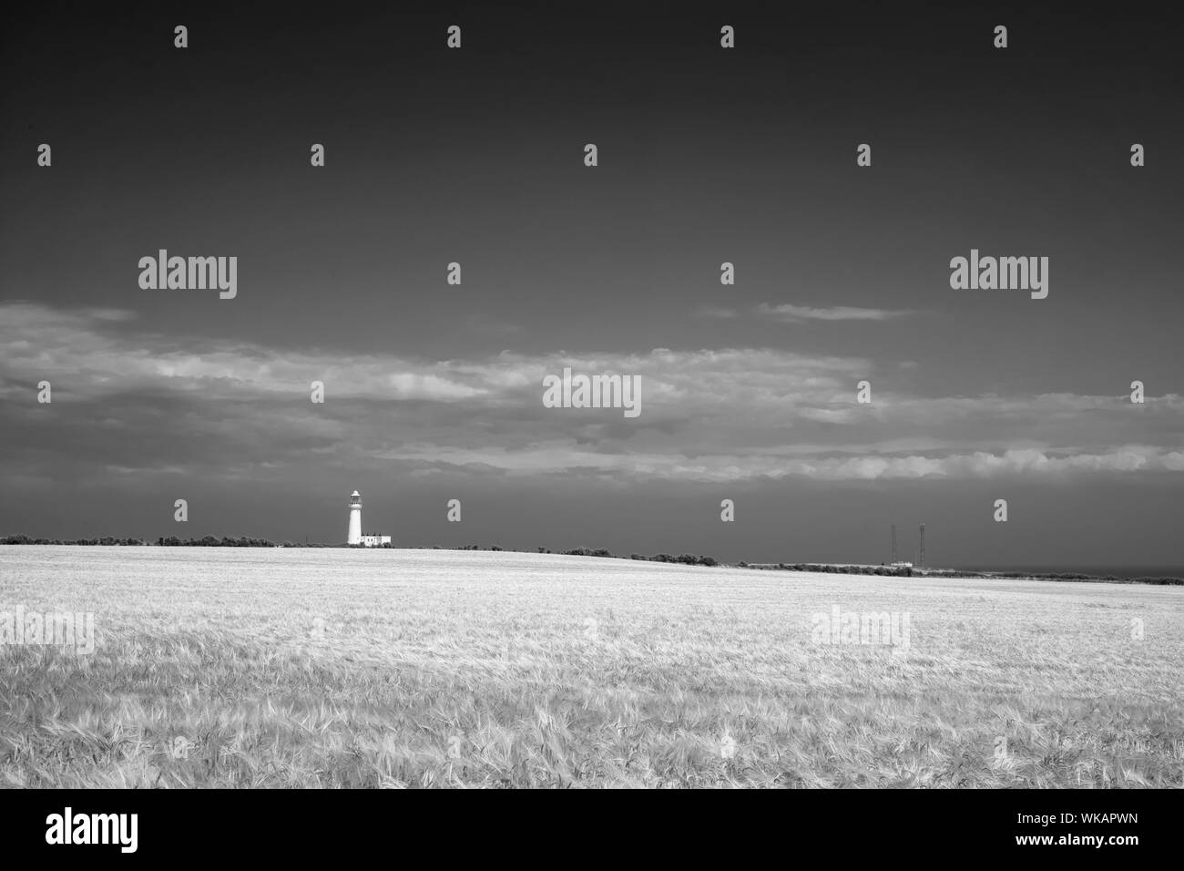 Flamborough Head Lighthouse visto dal sentiero costiero, nello Yorkshire, Regno Unito Foto Stock