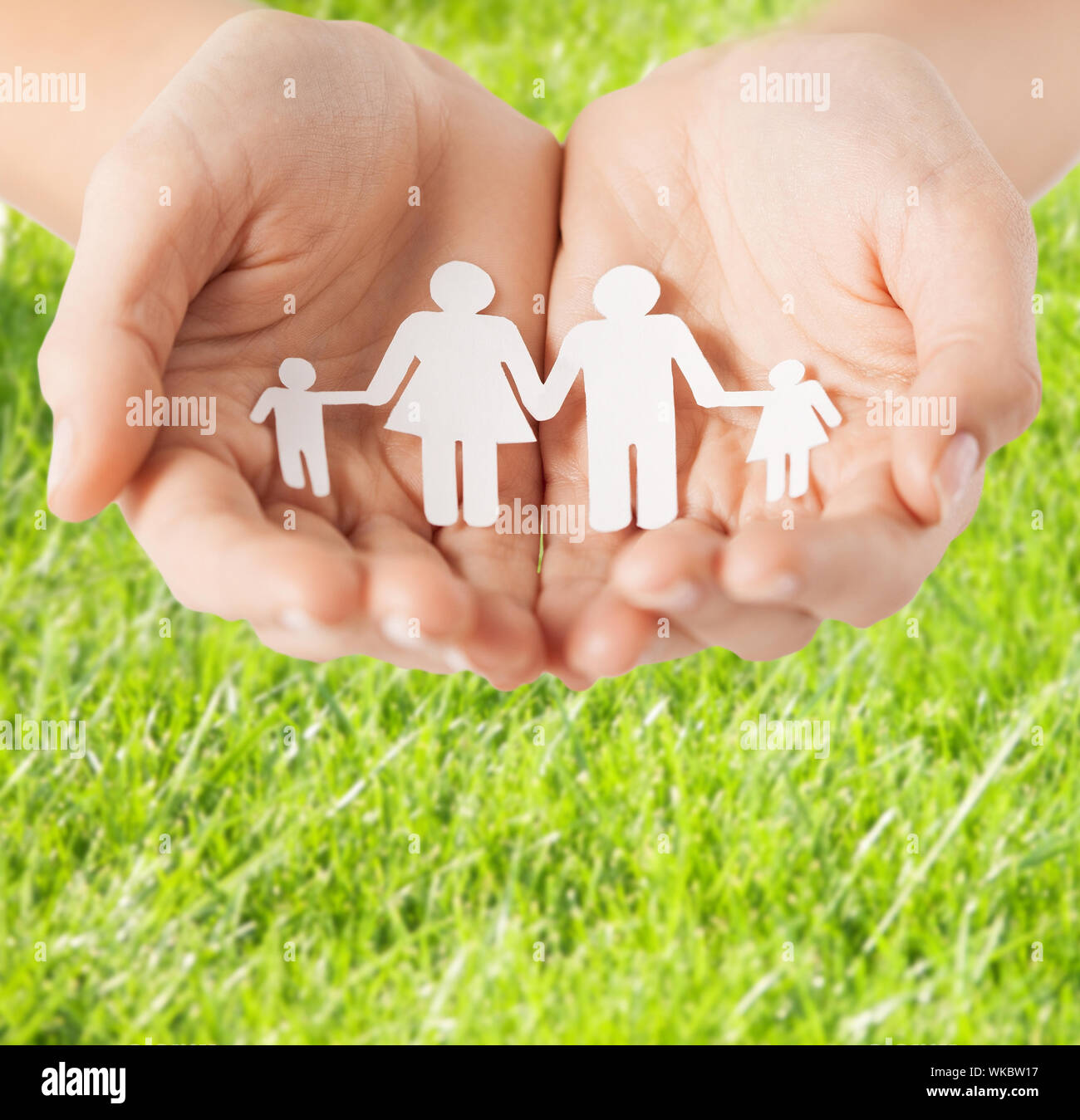 Mani femminili con carta famiglia uomo Foto Stock