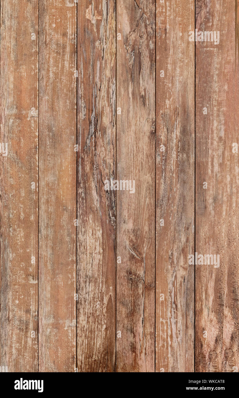 Pavimento in legno o a parete Foto Stock