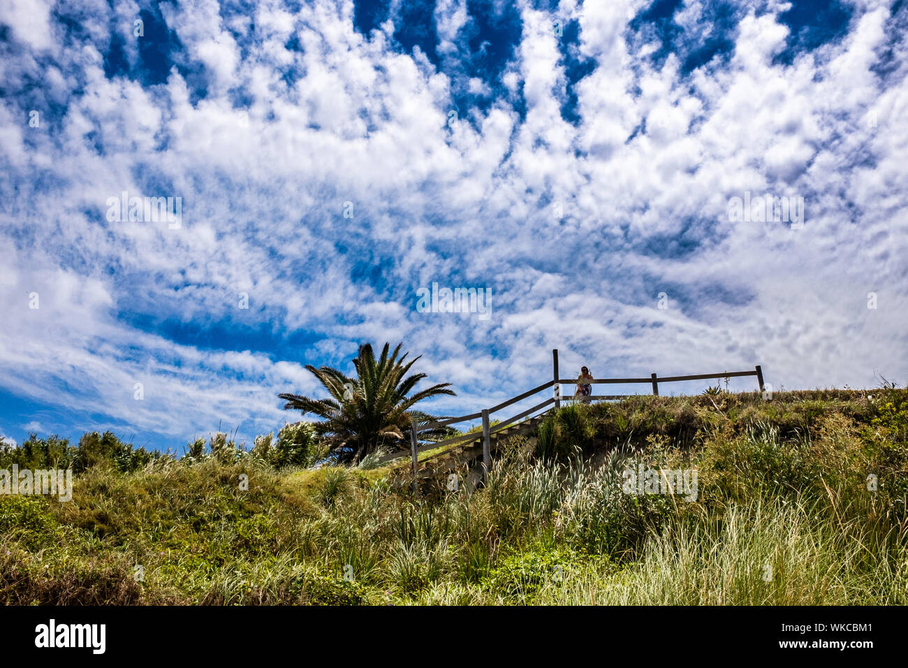 Uruguay: Uruguay, La Floresta, piccola città e resort sulla Costa de Oro (Golden Coast). Sovrastante la spiaggia, una donna sta guardando il paesaggio/vi Foto Stock