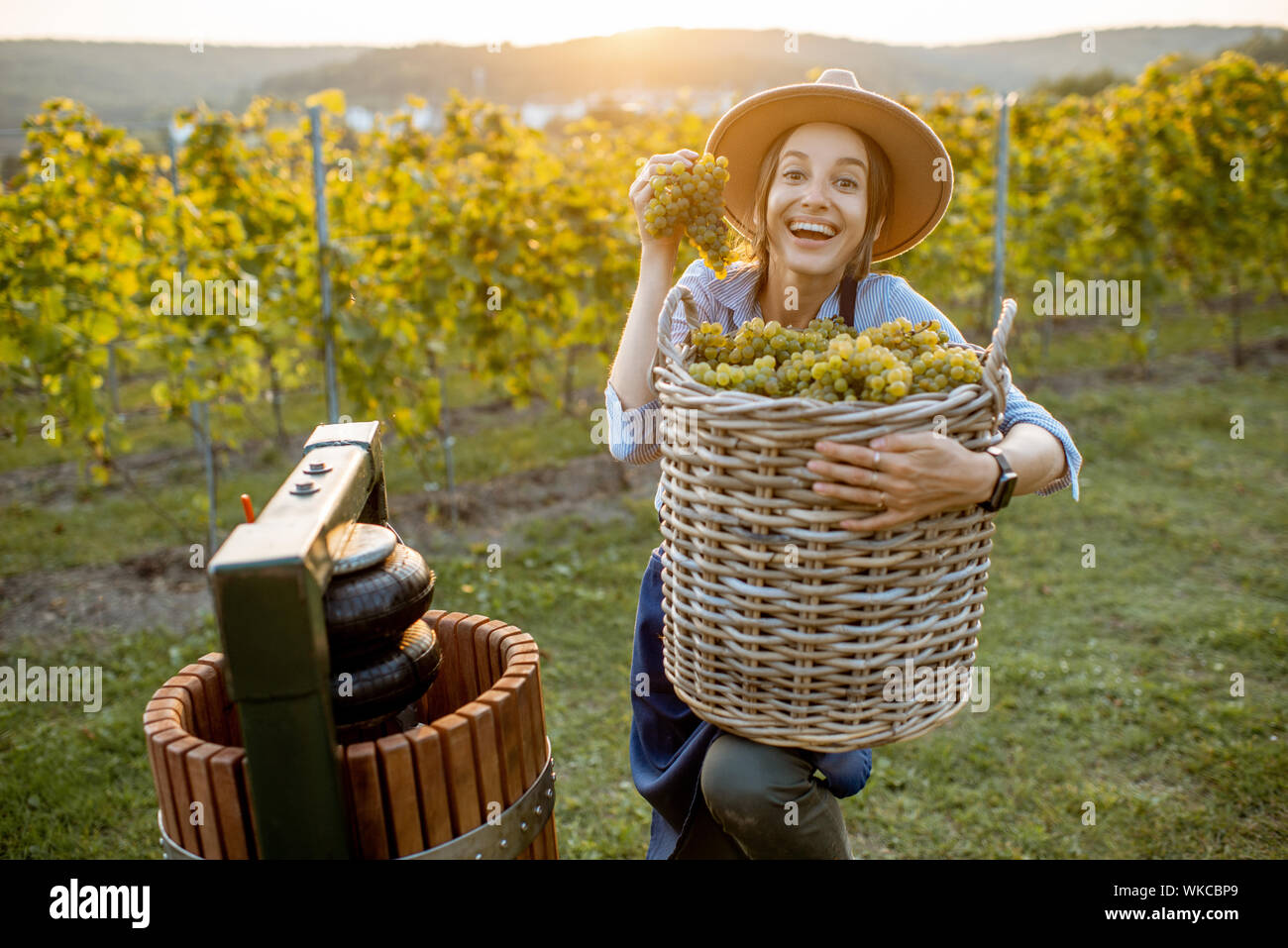 Ritratto di una giovane donna allegra con cesto pieno di appena raccolto di uve da vino in prossimità della pressa sul vigneto Foto Stock