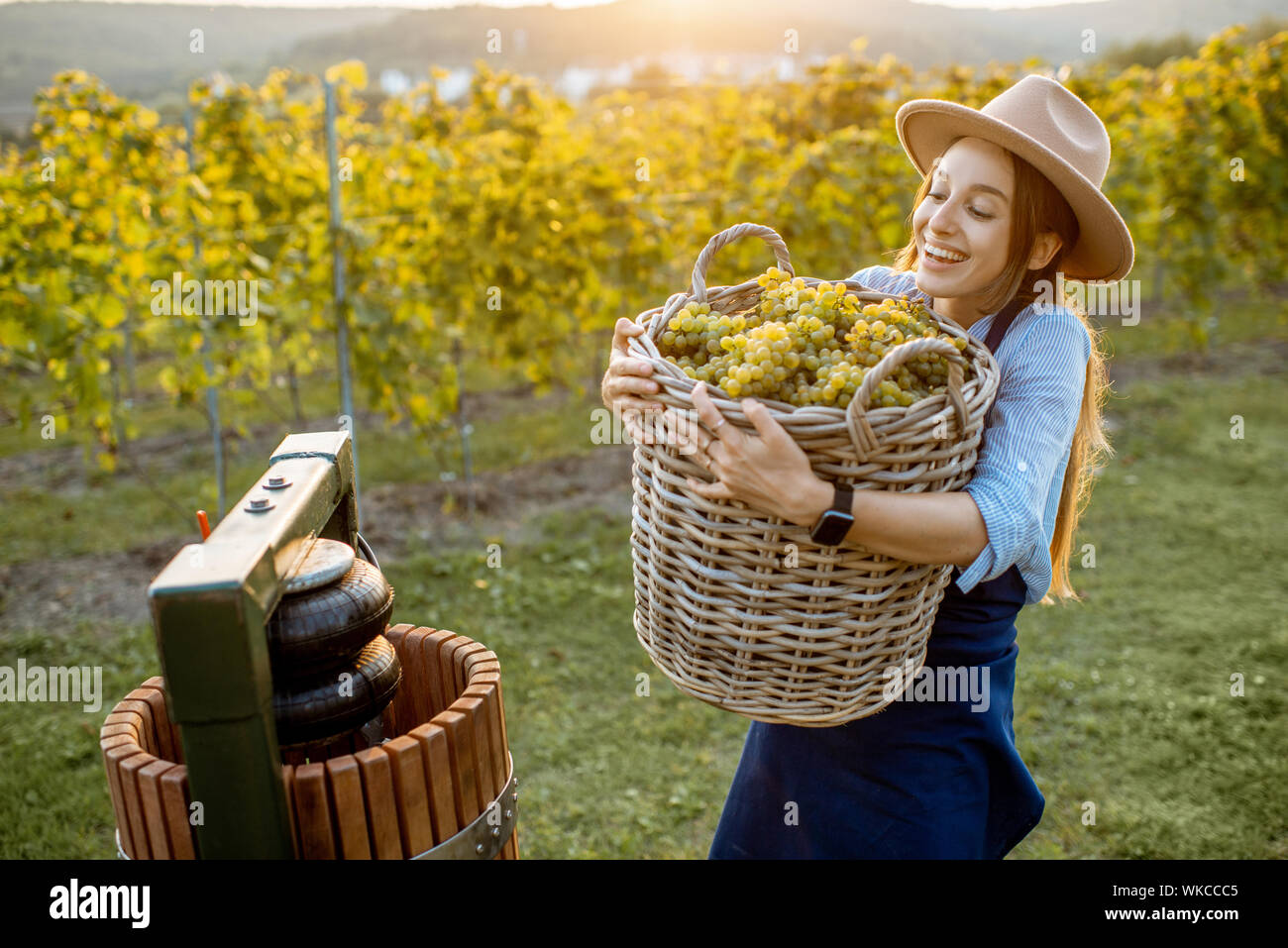 Ritratto di una giovane donna allegra con cesto pieno di appena raccolto di uve da vino in prossimità della pressa sul vigneto Foto Stock