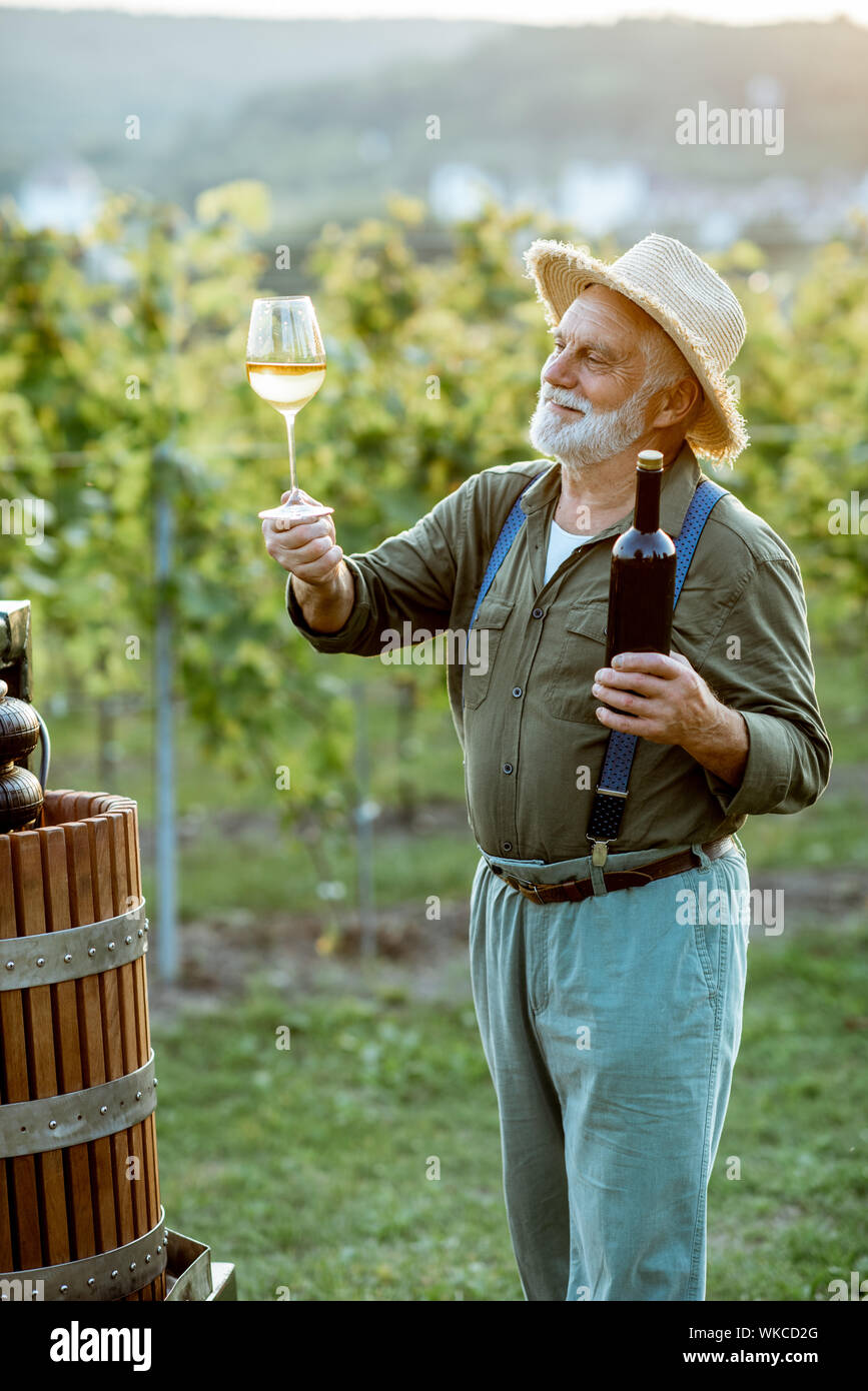 Senior ben vestito enologo controllando la qualità del vino, mentre in piedi con wineglass vicino alla pressa sulla vigna su una soleggiata sera Foto Stock