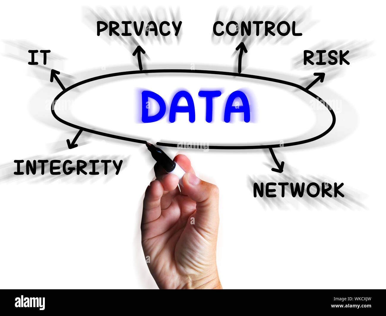 Schema dei dati visualizzando informazioni privacy e integrità Foto Stock