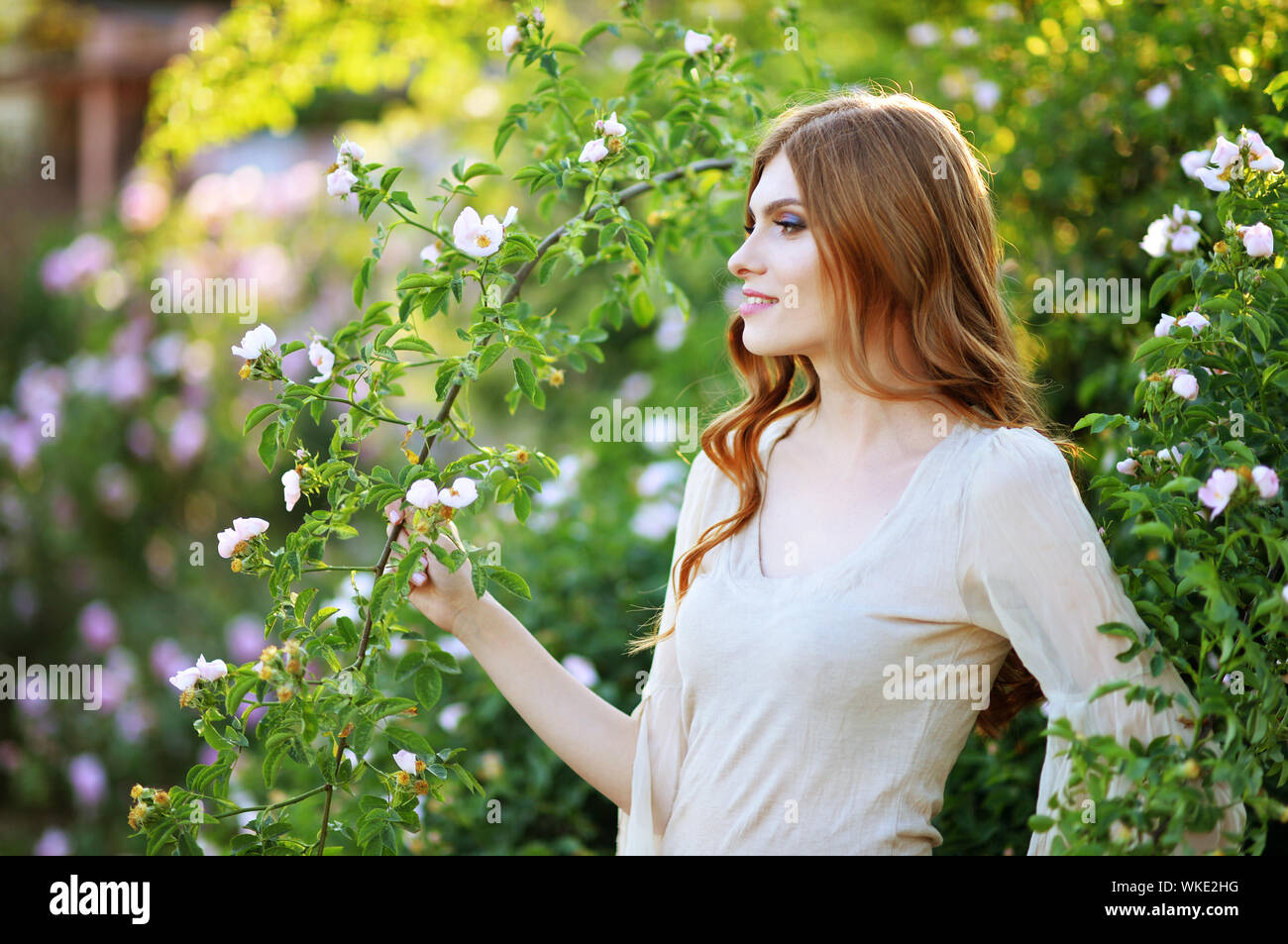 Bella giovane donna in posa da rose bush Foto Stock
