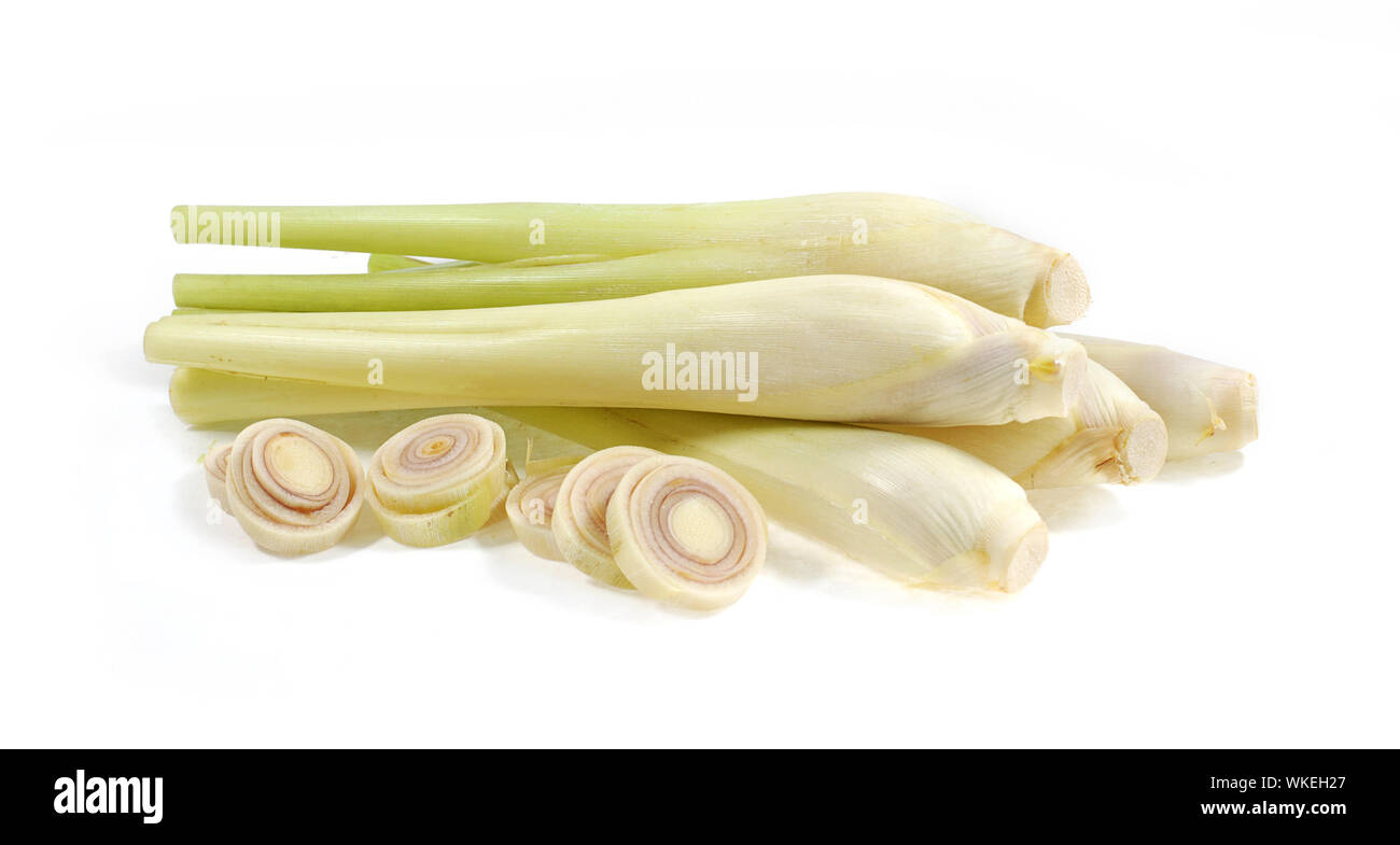 La citronella fresca su sfondo bianco Foto Stock