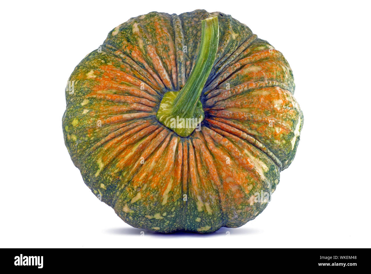 Zucca Thai isolati su sfondo bianco Foto Stock