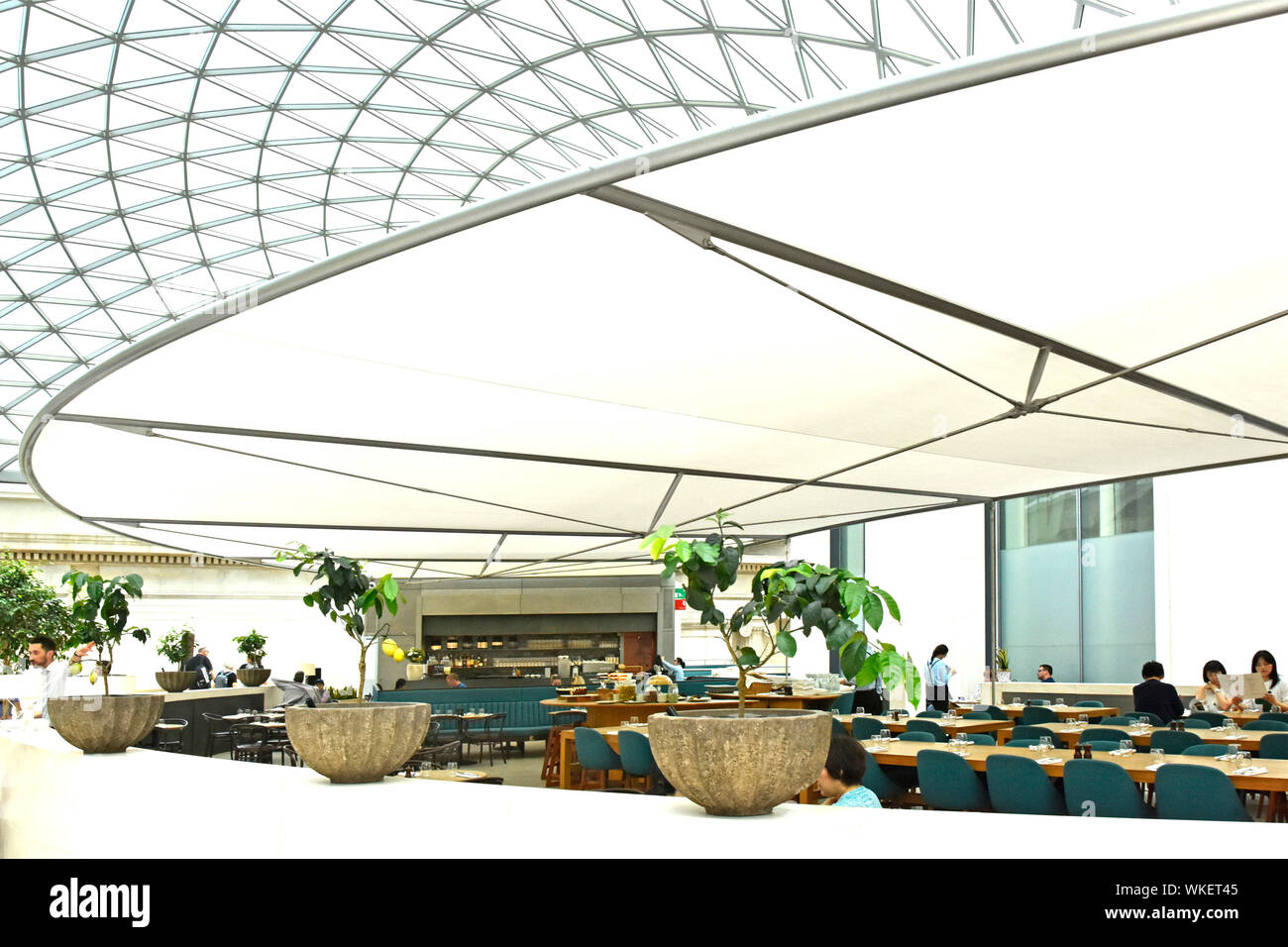 Curve e forme di tetto traslucido e tettoia, moderno edificio del British Museum, interni del ristorante e ristoranti visti a mezzogiorno Holborn Londra Inghilterra Regno Unito Foto Stock