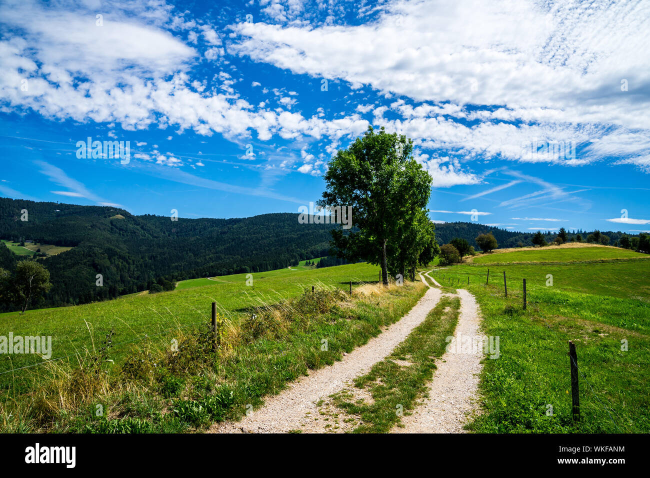 Germania, curvo del percorso trekking sulla cima di una montagna nella foresta nera paesaggio con vista al vertice di schauinsland montagna vicino a Freiburg im Breisgau Foto Stock