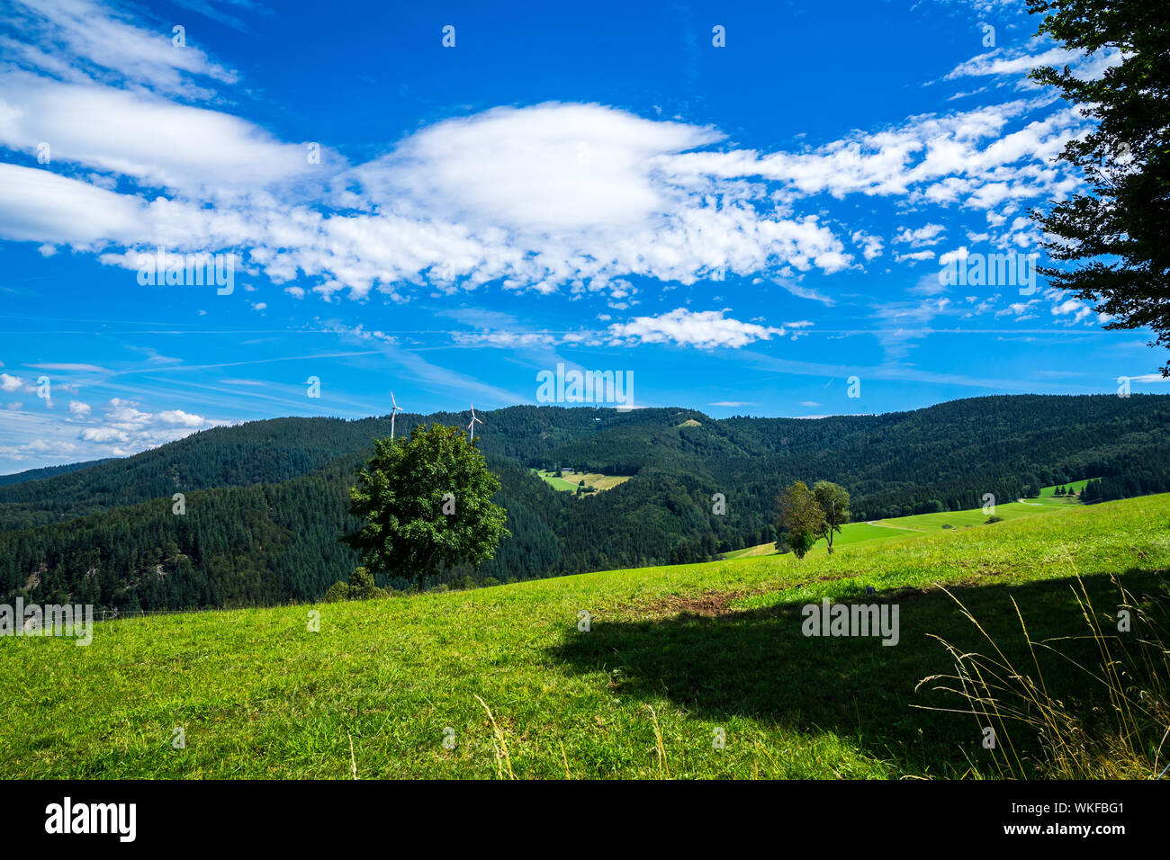 In Germania, in vista di picco di schauinsland mountain nella foresta nera natura paesaggio nei pressi di Freiburg im Breisgau in estate con cielo blu, perfetta per le escursioni Foto Stock