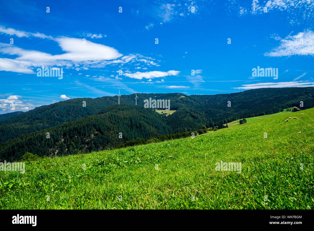Germania, incredibili foreste verdi montagne della Foresta Nera natura paesaggio con cielo blu in estate tempo di vacanza vicino a Freiburg im Breisgau a Baden, tour Foto Stock