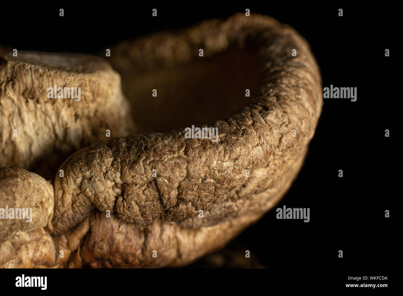 Primo piano di un complesso di funghi secchi shiitake isolato sul vetro nero Foto Stock