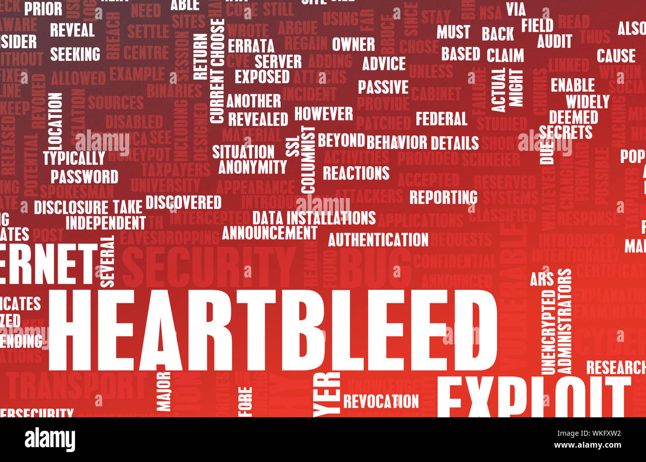 Tecnologia Heartbleed sfruttano bug Alert come concetto Foto Stock