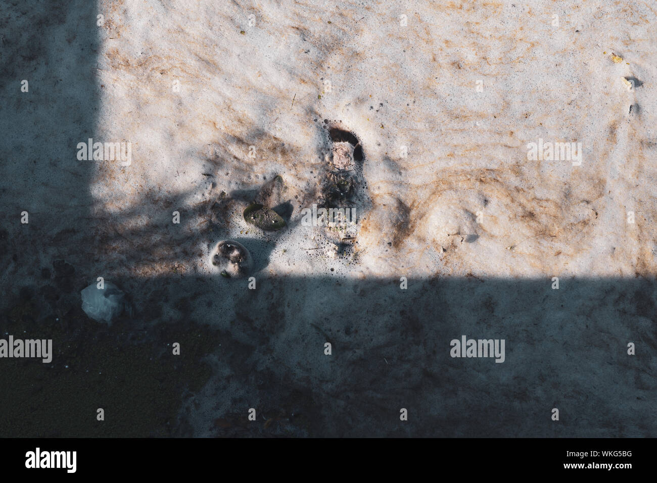 Inquinamento del fiume o lago. Feccia organico la formazione di schiuma nell'acqua. Ambiente nel concetto di pericolo. Stagno di pericolose. Foto Stock