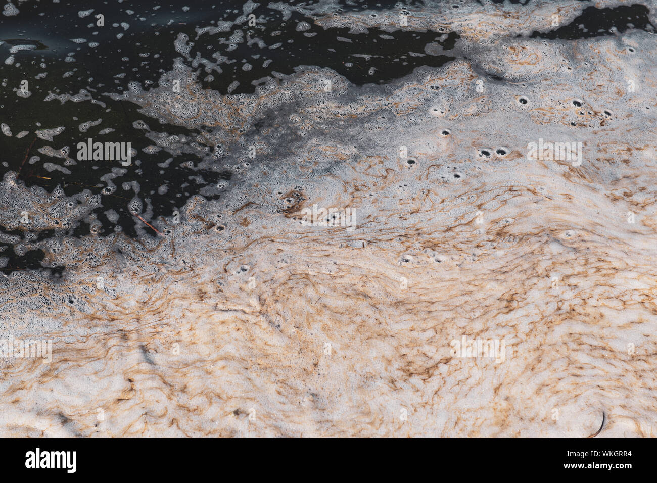 Inquinamento del fiume o lago. Feccia organico la formazione di schiuma nell'acqua. Ambiente nel concetto di pericolo. Stagno di pericolose. Foto Stock