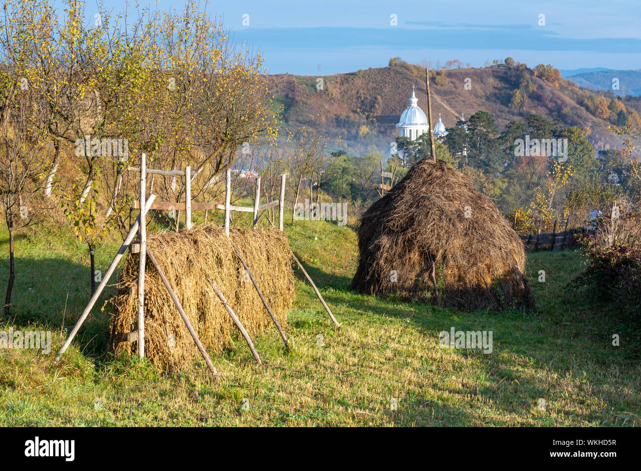 Immagine rurale con pagliaio e fieno appena falciato nella calda luce del mattino di autunno Foto Stock