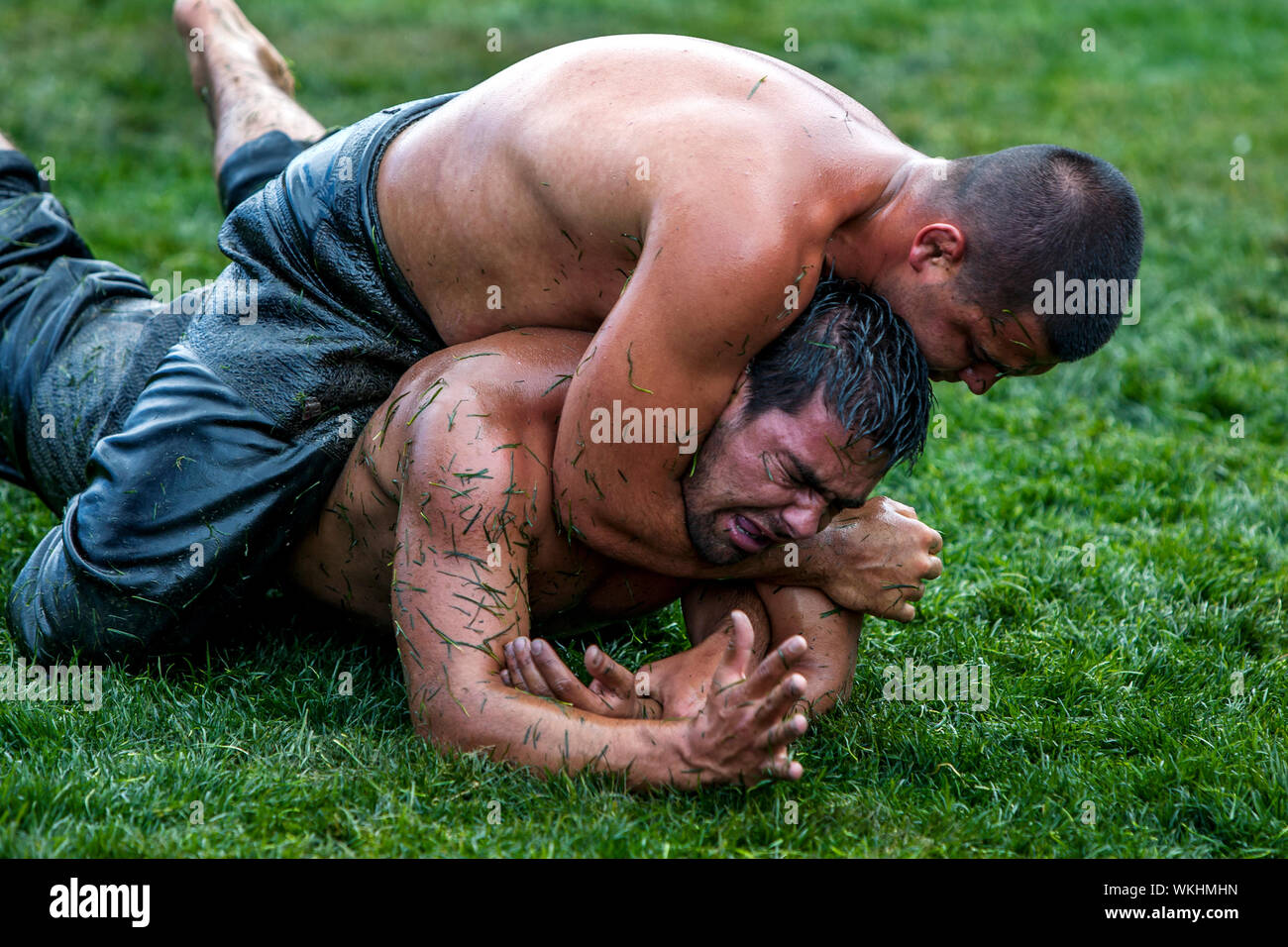 Un lottatore è forzata nella presentazione dopo essere stati posti in una headlock dal suo avversario a Kemer lotta turca con olio Festival a Kemer in Turchia. Foto Stock